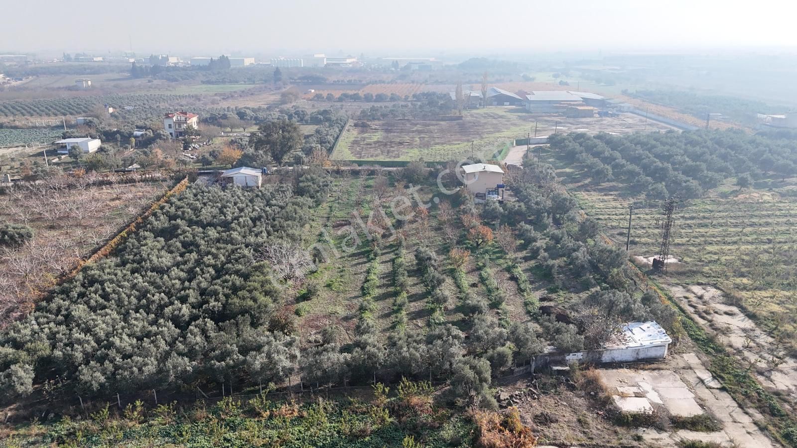 Kemalpaşa Armutlu Satılık 1.787 M2 Bahçe - Görsel 25