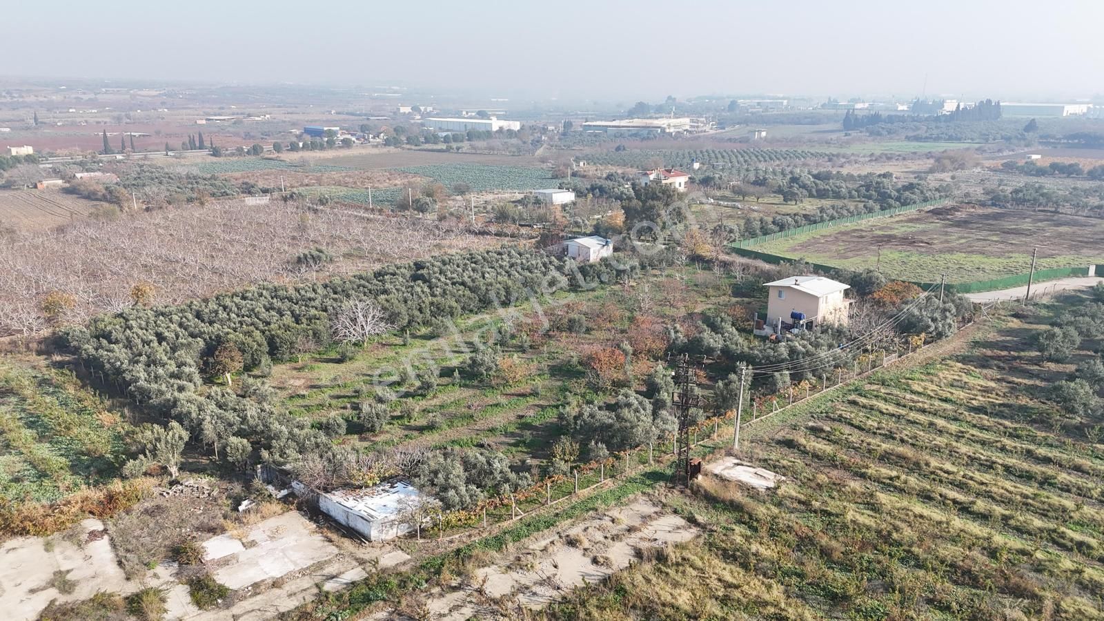 Kemalpaşa Armutlu Satılık 1.787 M2 Bahçe - Görsel 5