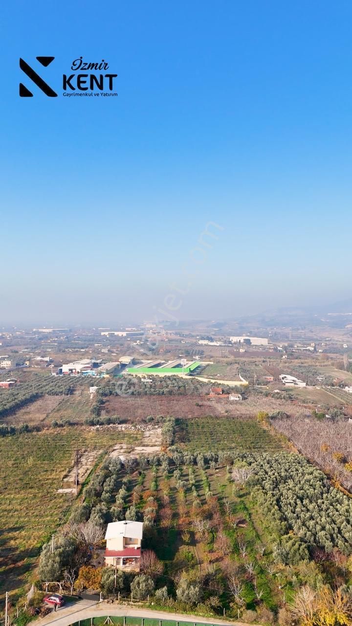 Kemalpaşa Armutlu Satılık 1.787 M2 Bahçe - Görsel 12