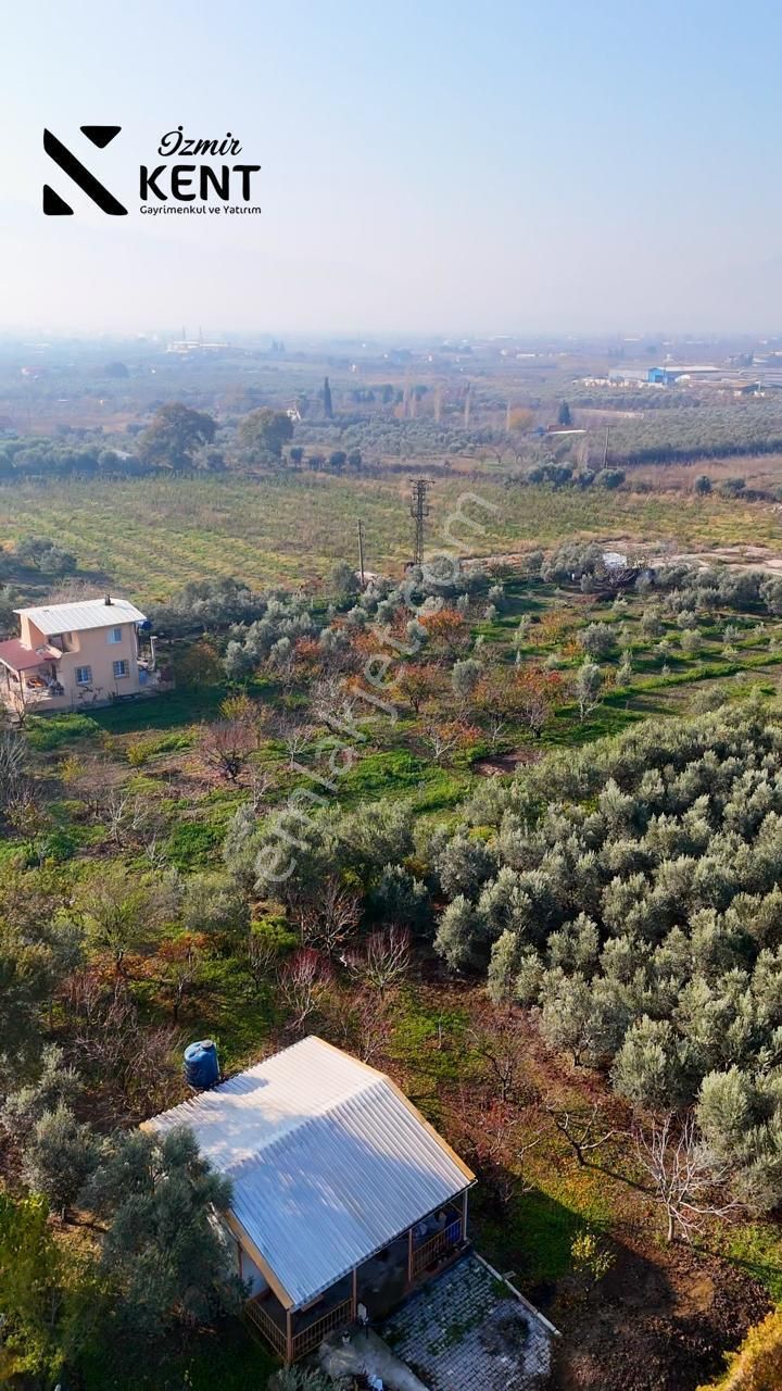 Kemalpaşa Armutlu Satılık 1.787 M2 Bahçe - Görsel 21