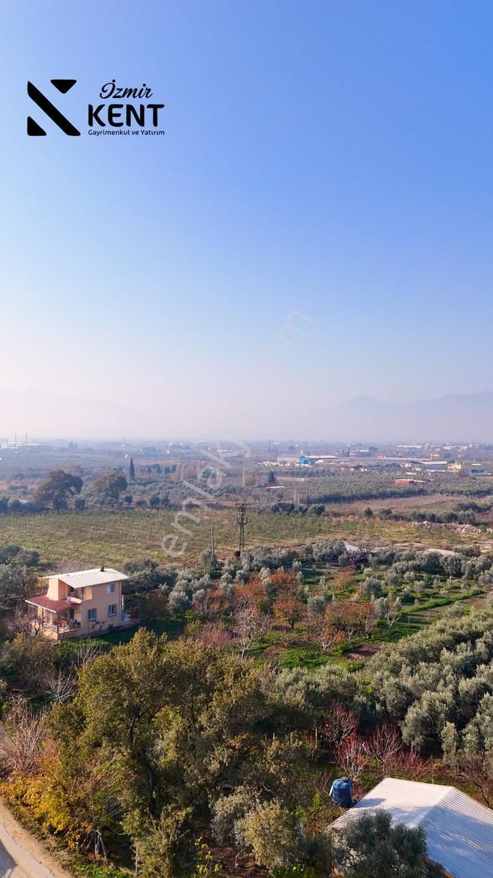 Kemalpaşa Armutlu Satılık 1.787 M2 Bahçe - Görsel 19