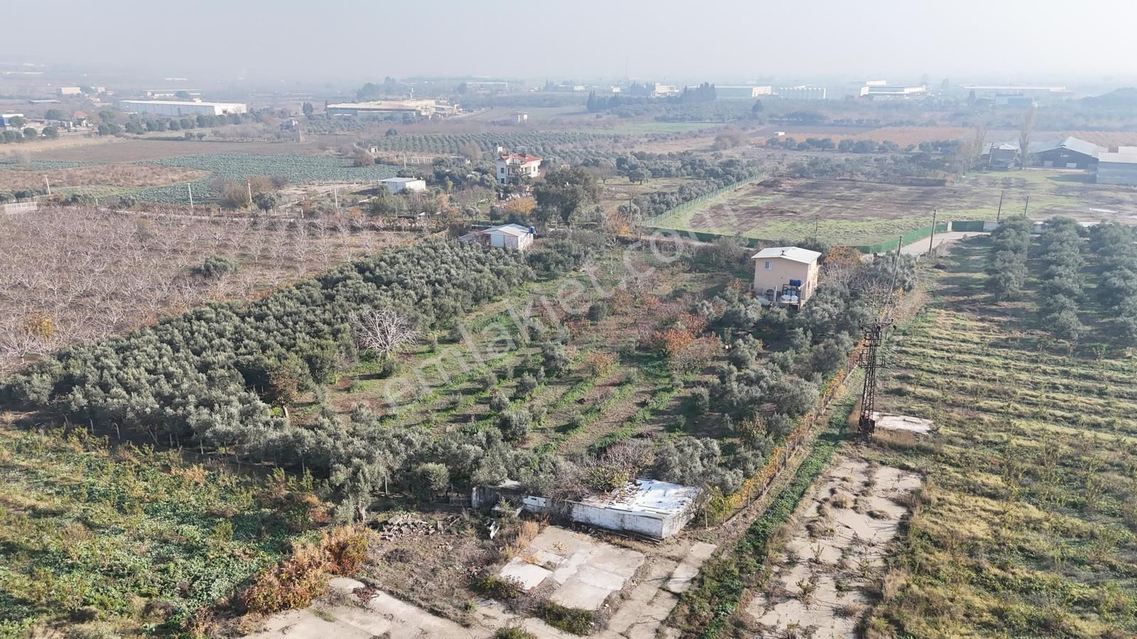 Kemalpaşa Armutlu Satılık 1.787 M2 Bahçe - Görsel 4