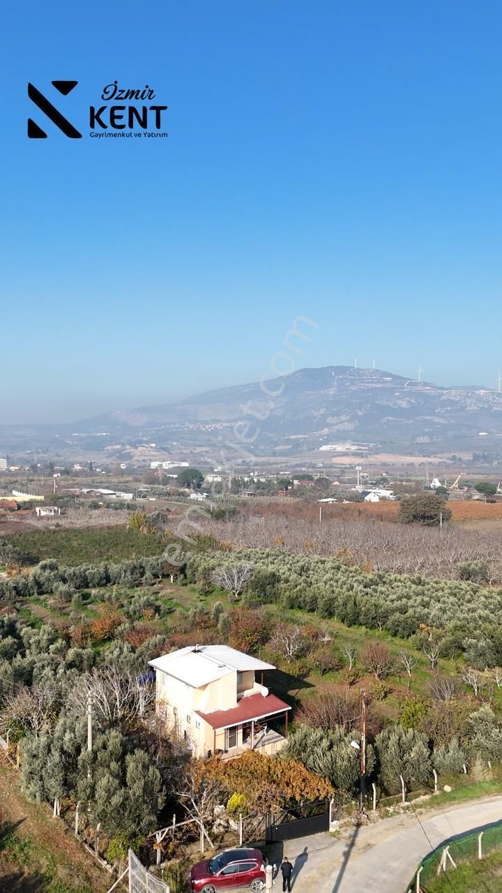 Kemalpaşa Armutlu Satılık 1.787 M2 Bahçe - Görsel 20