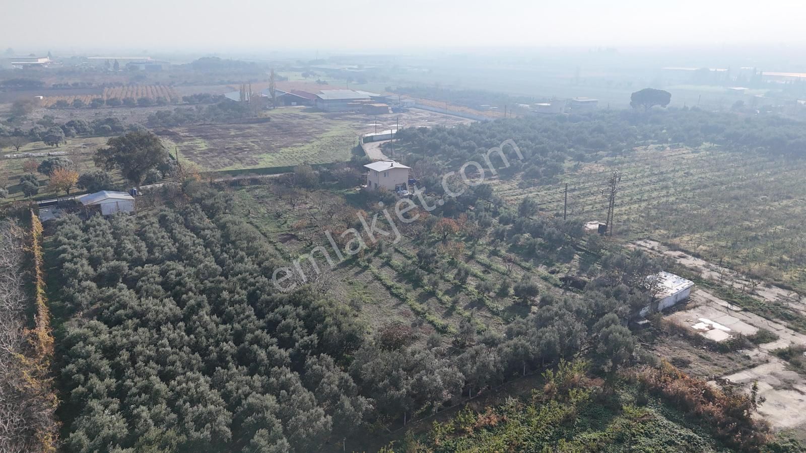 Kemalpaşa Armutlu Satılık 1.787 M2 Bahçe - Görsel 2