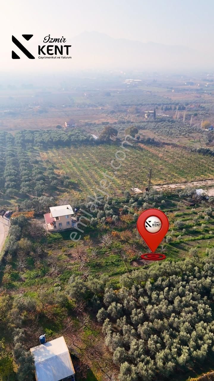 Kemalpaşa Armutlu Satılık 1.787 M2 Bahçe - Görsel 17