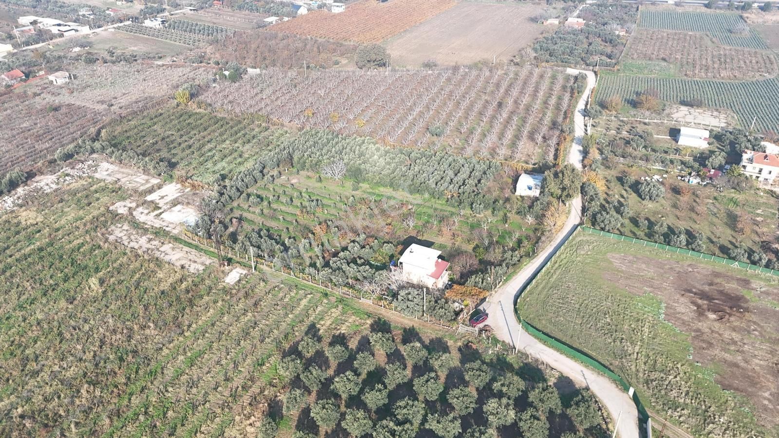 Kemalpaşa Armutlu Satılık 1.787 M2 Bahçe - Görsel 6