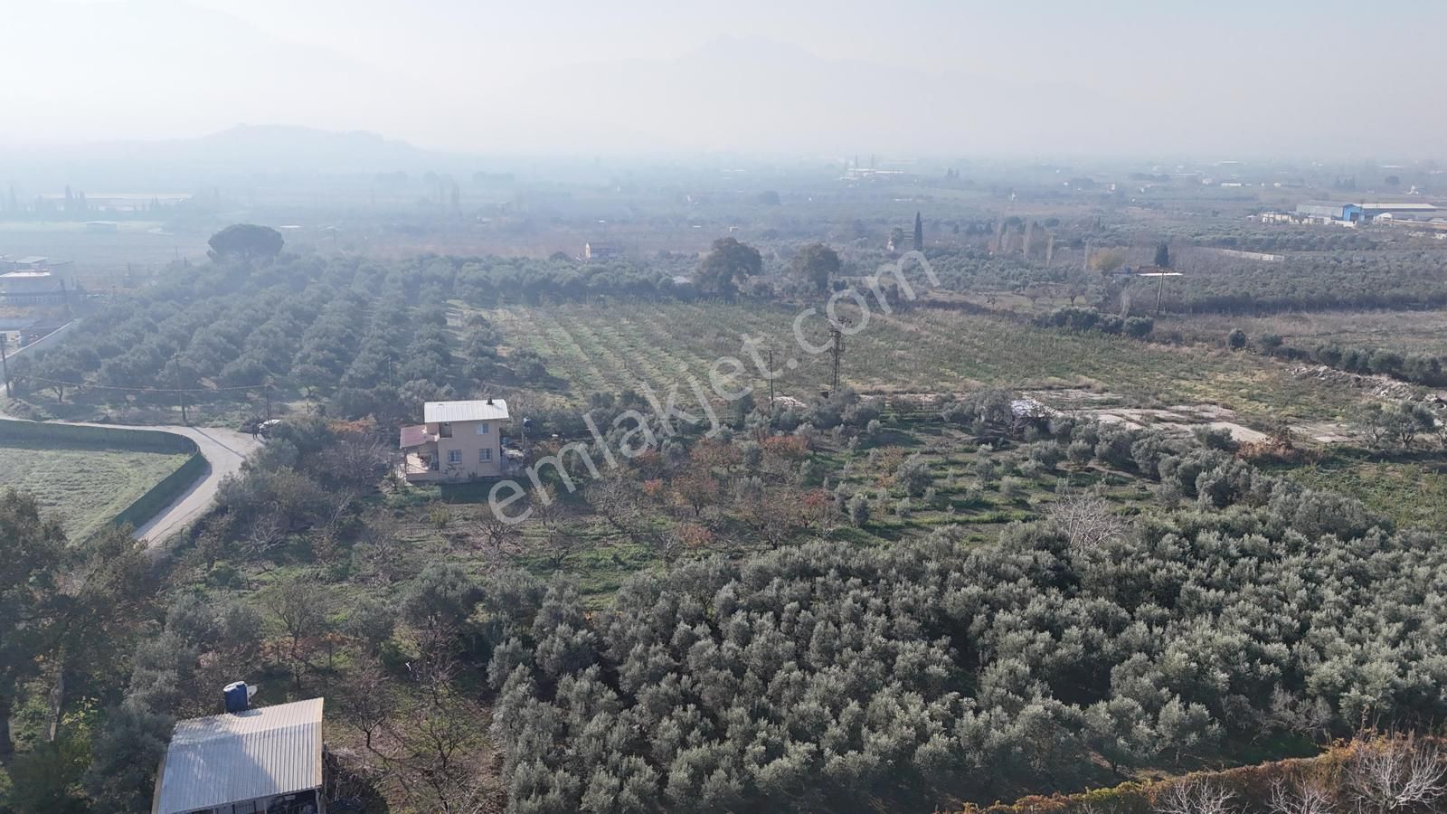 Kemalpaşa Armutlu Satılık 1.787 M2 Bahçe - Görsel 3