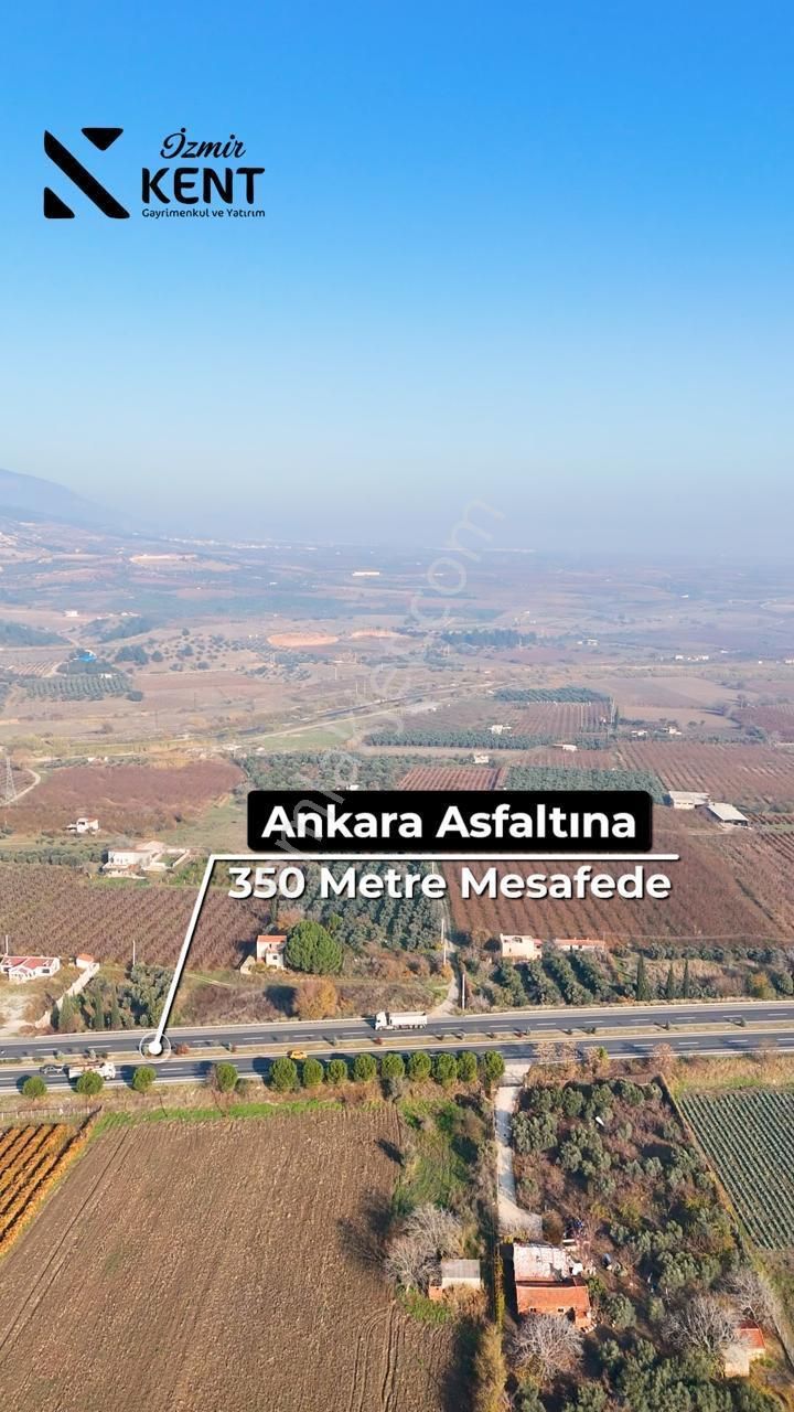 Kemalpaşa Armutlu Satılık 1.787 M2 Bahçe - Görsel 15
