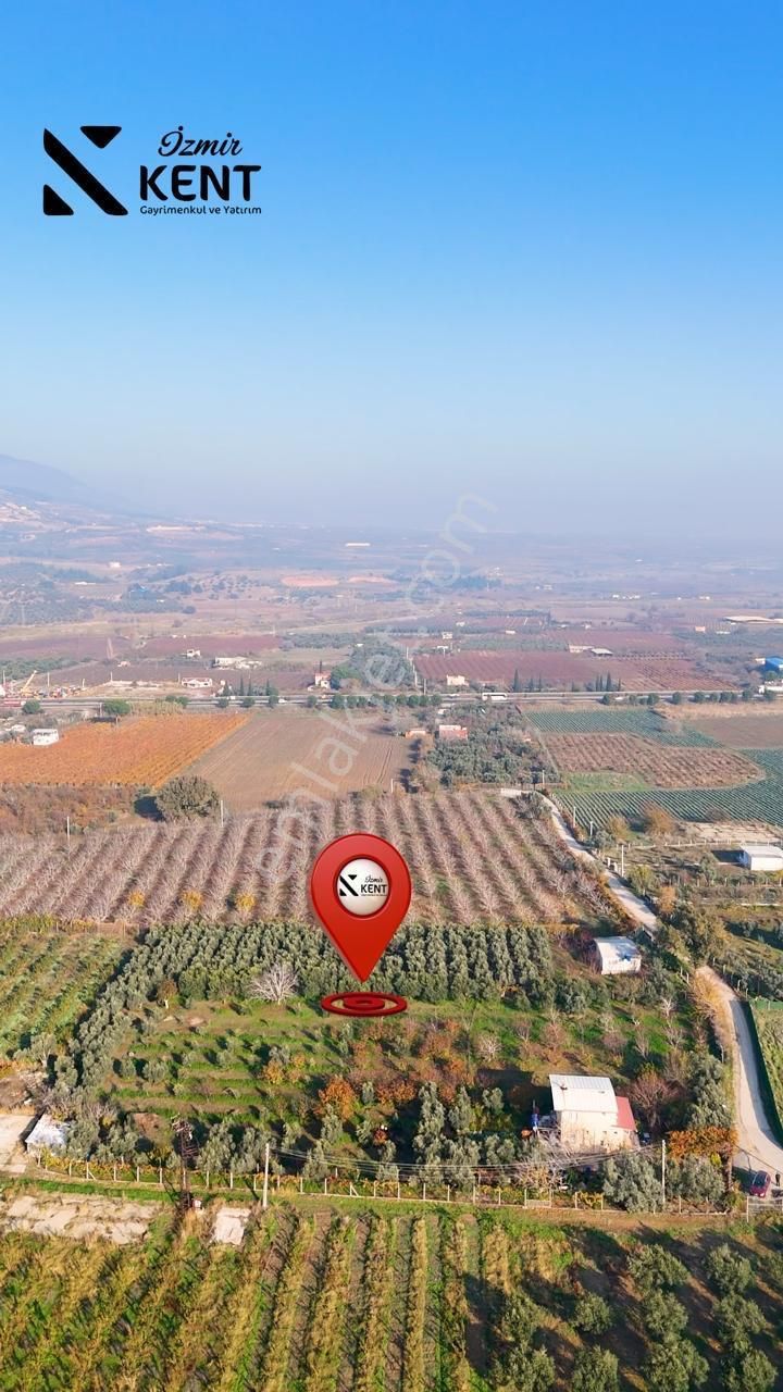 Kemalpaşa Armutlu Satılık 1.787 M2 Bahçe - Görsel 14