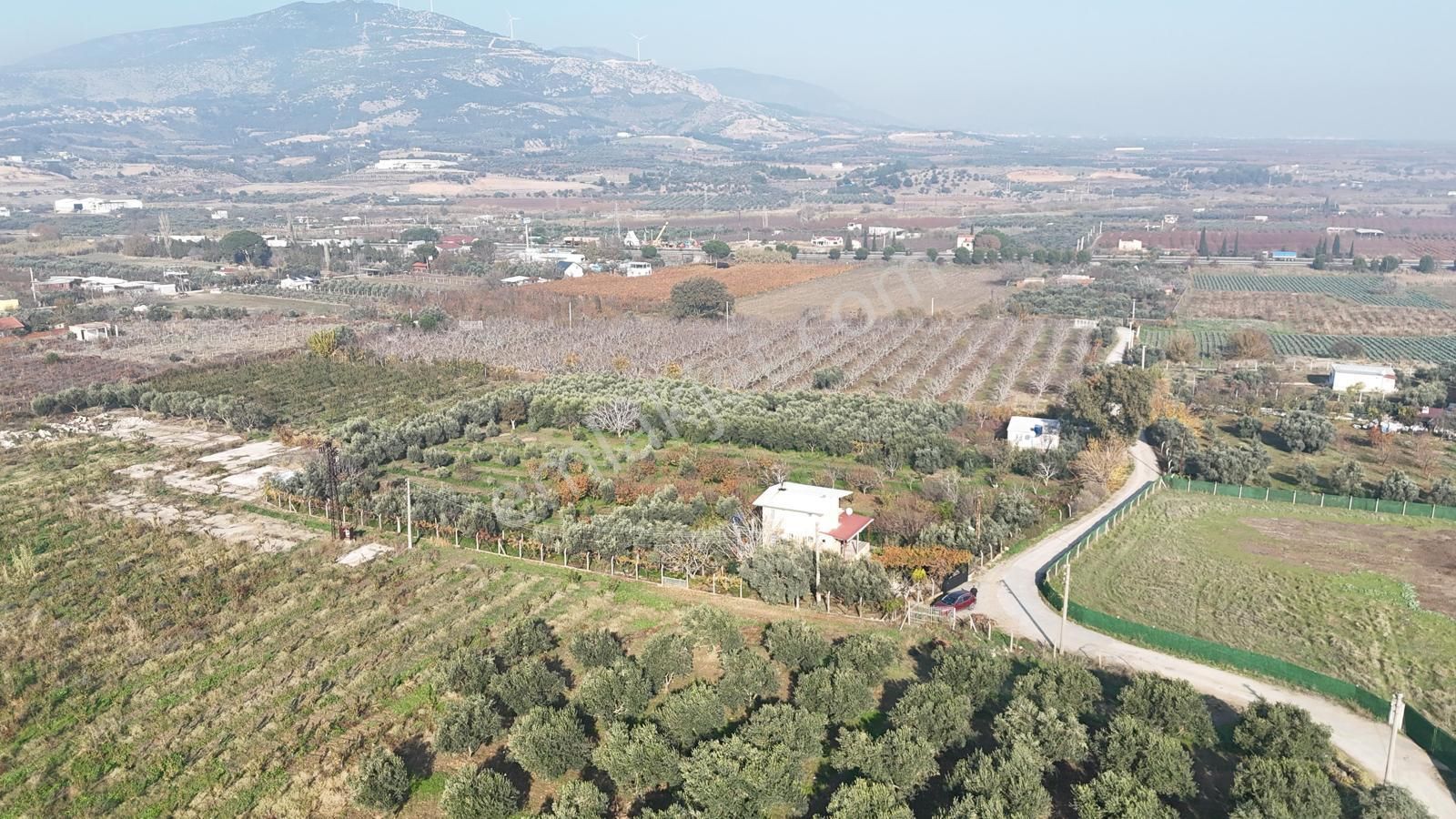Kemalpaşa Armutlu Satılık 1.787 M2 Bahçe - Görsel 7