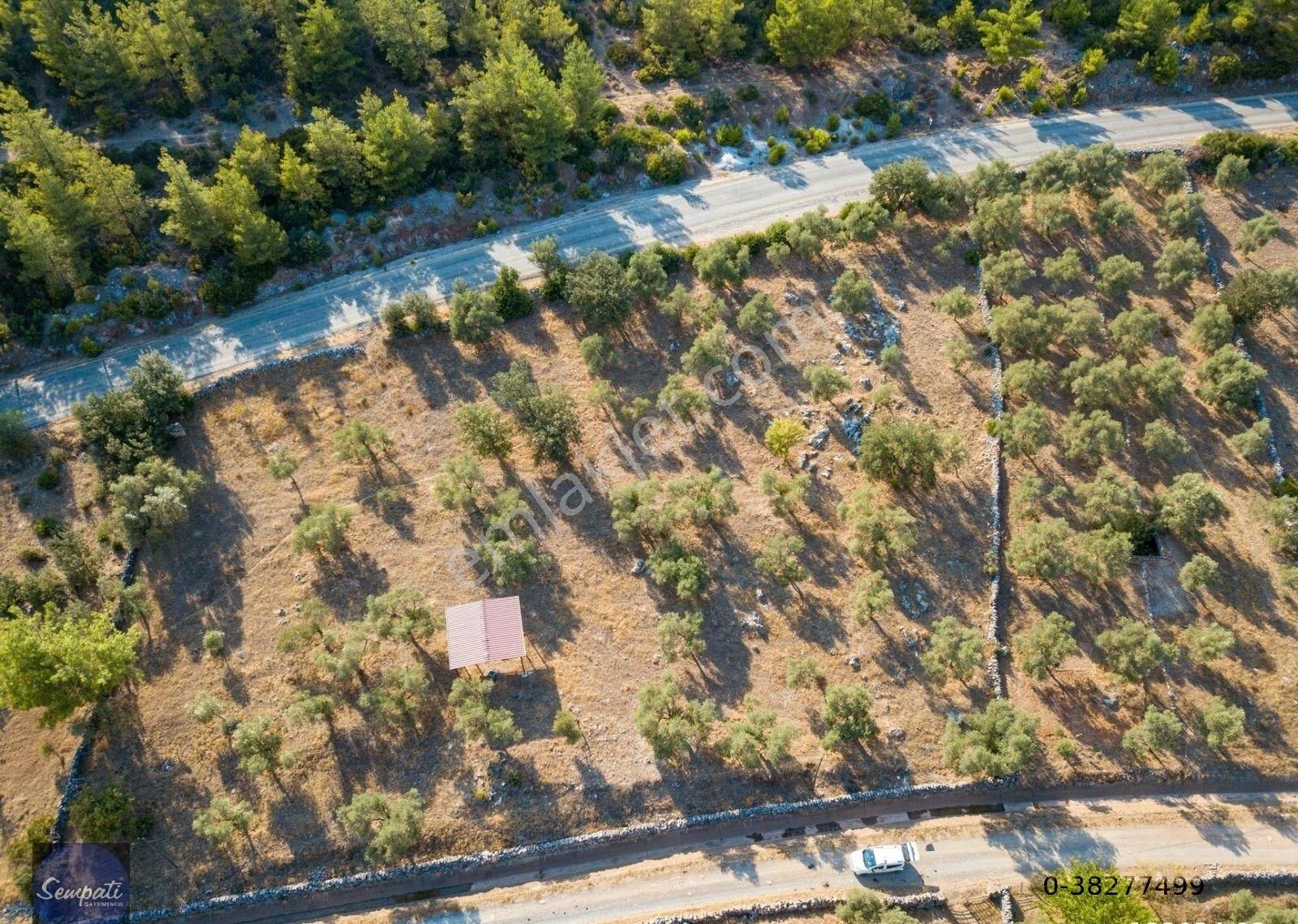 Bodrum'un Doğa Harikası Yerinde Satılık Arazi -açıklamayı Okuyun - Görsel 16