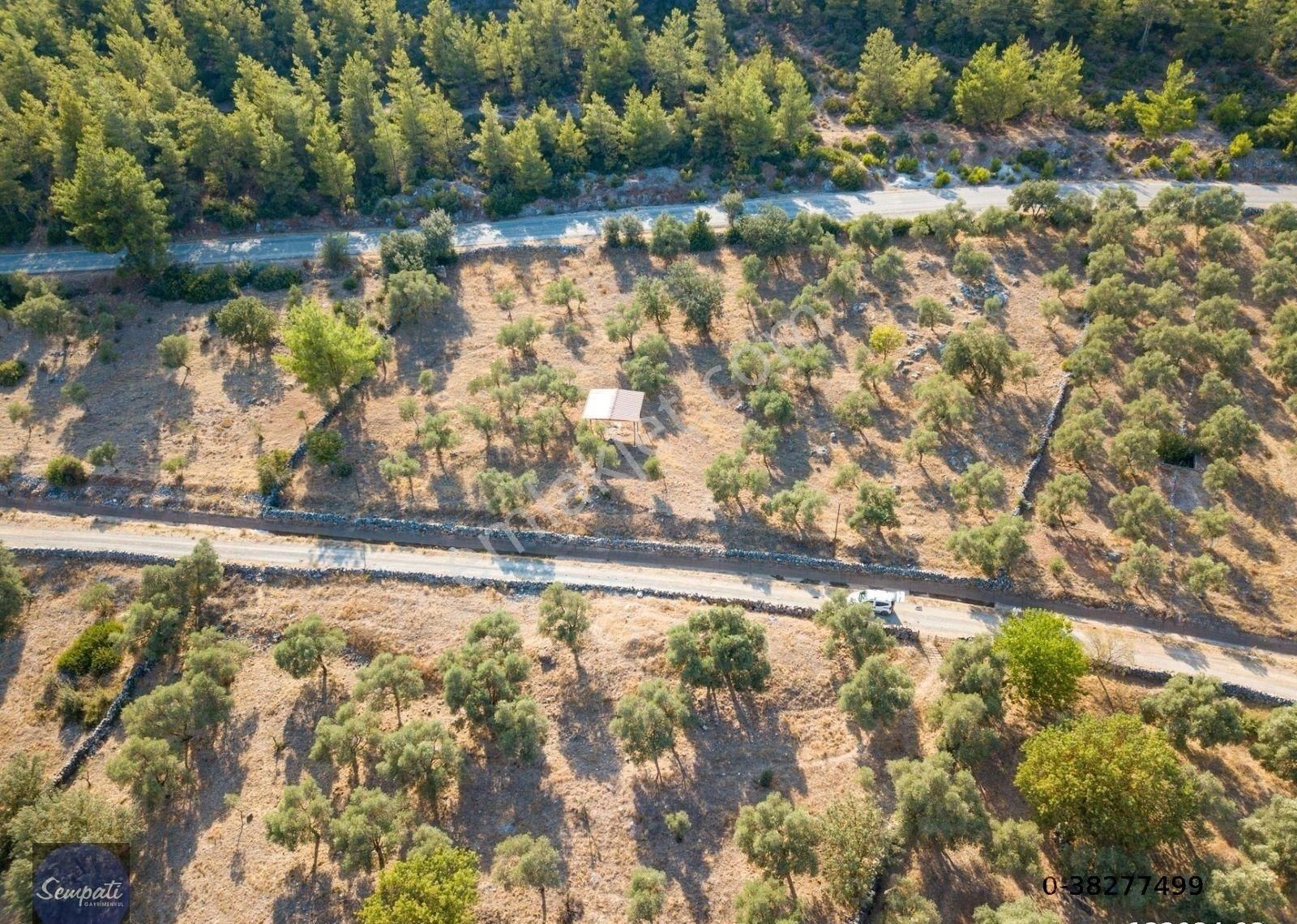 Bodrum'un Doğa Harikası Yerinde Satılık Arazi -açıklamayı Okuyun - Görsel 14