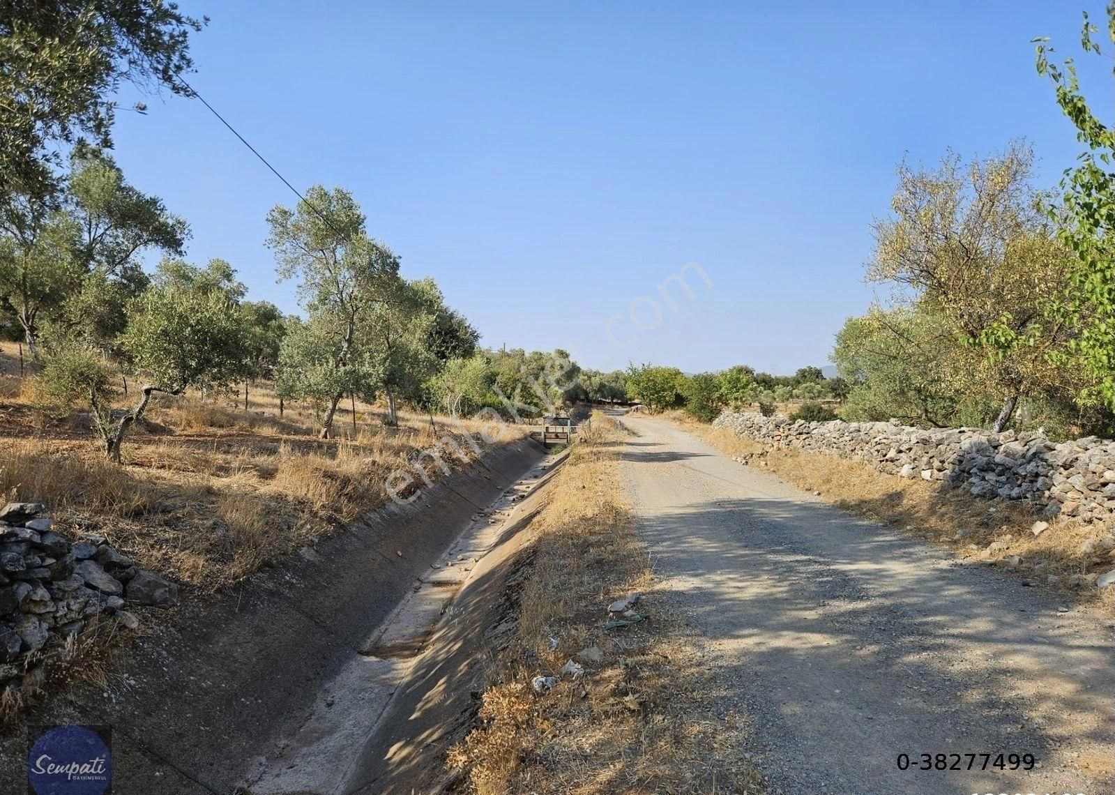 Bodrum'un Doğa Harikası Yerinde Satılık Arazi -açıklamayı Okuyun - Görsel 8