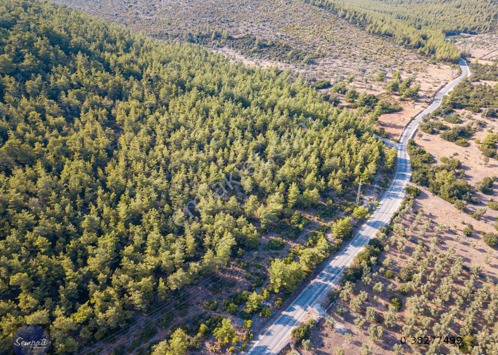 Bodrum'un Doğa Harikası Yerinde Satılık Arazi -açıklamayı Okuyun - Görsel 3