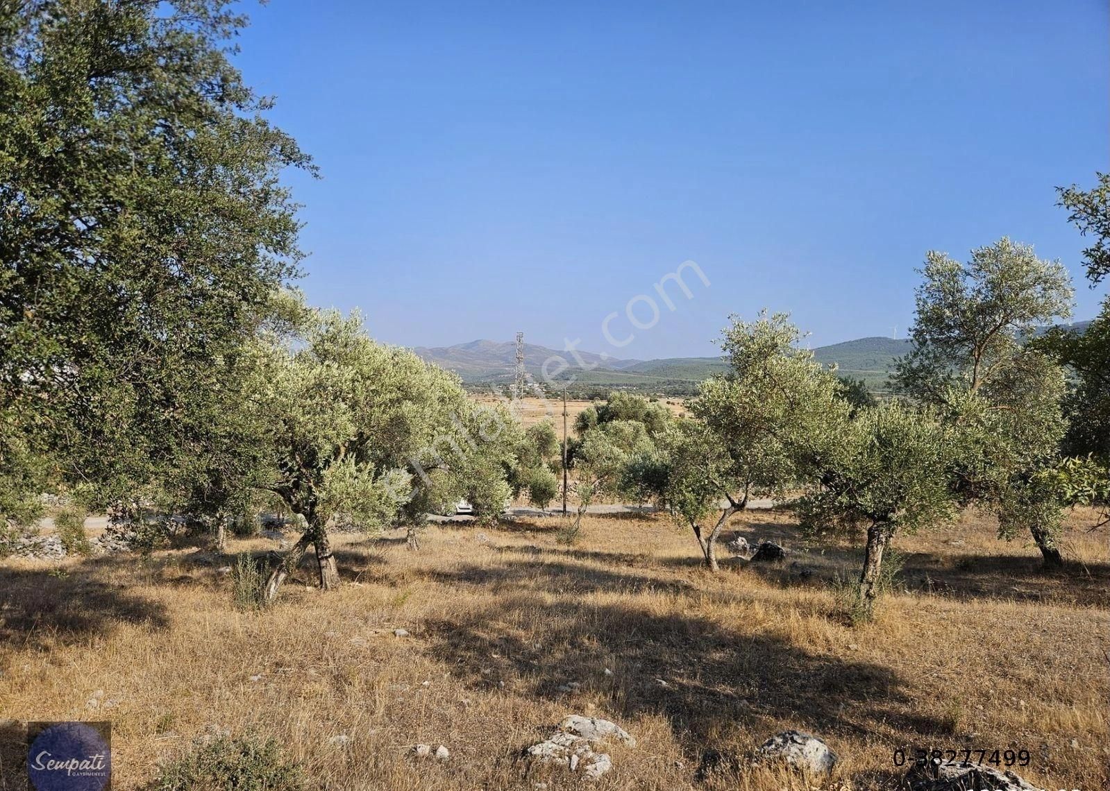 Bodrum'un Doğa Harikası Yerinde Satılık Arazi -açıklamayı Okuyun - Görsel 5