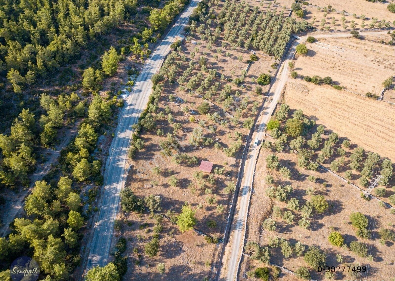 Bodrum'un Doğa Harikası Yerinde Satılık Arazi -açıklamayı Okuyun - Görsel 19