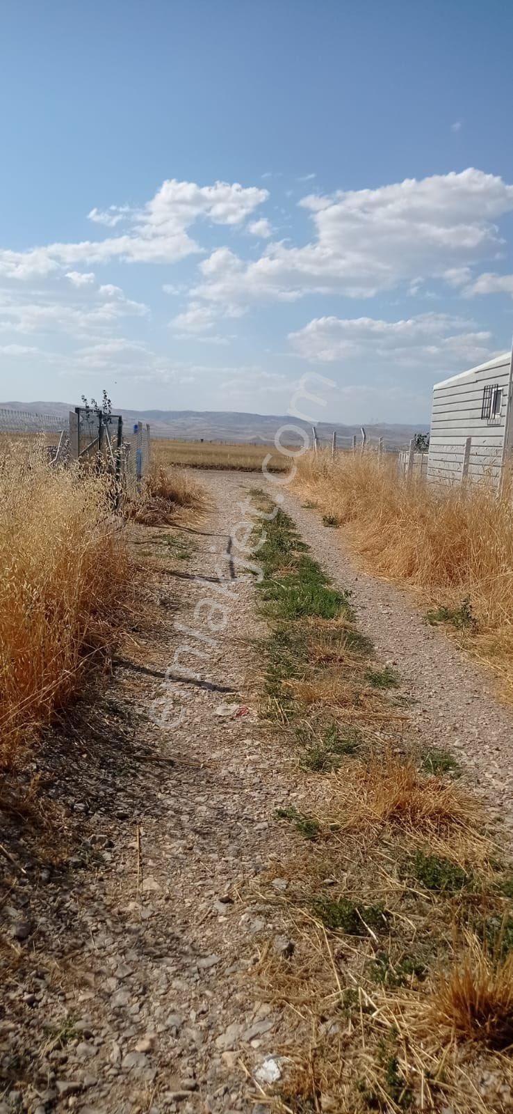 Çubuk Taşpınar Satılık Bağ & Bahçe Hisseli Bahçe