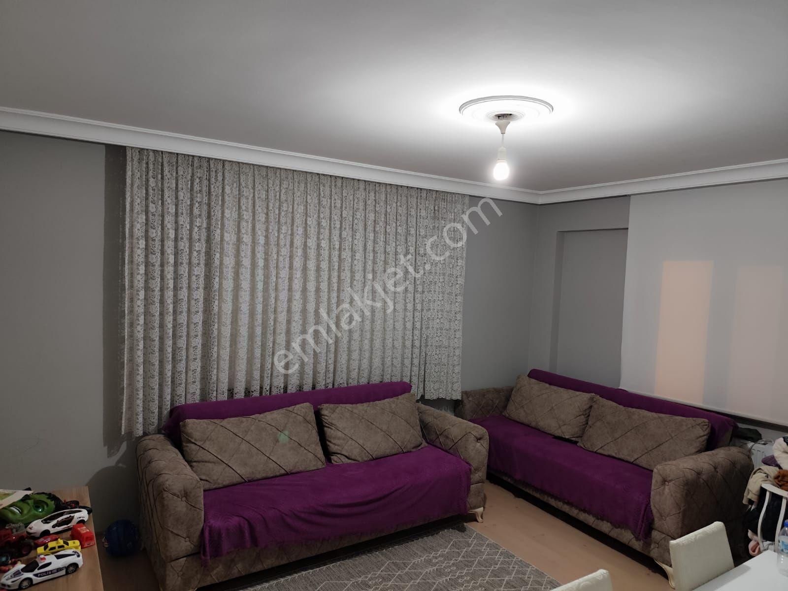 725 Mk Bahçeli Köy Evi. Bbursa Yenişehir De - Görsel 9