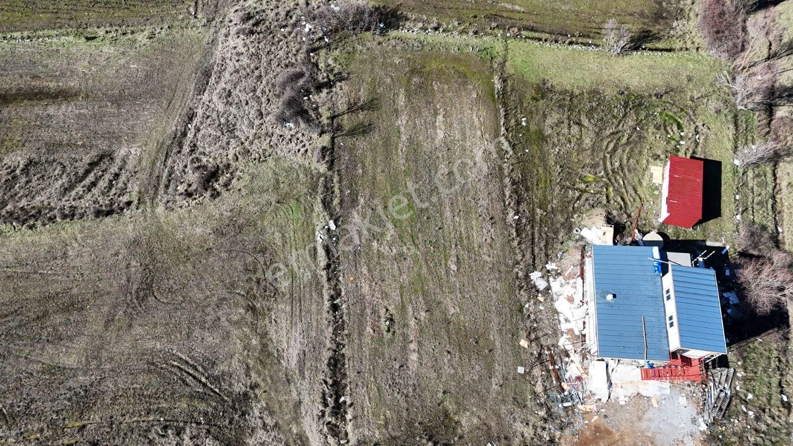 Goldhouse Dan Satılık Tarla Doğayla İç İçe Harika Havası İle 1048 M2 - Görsel 8