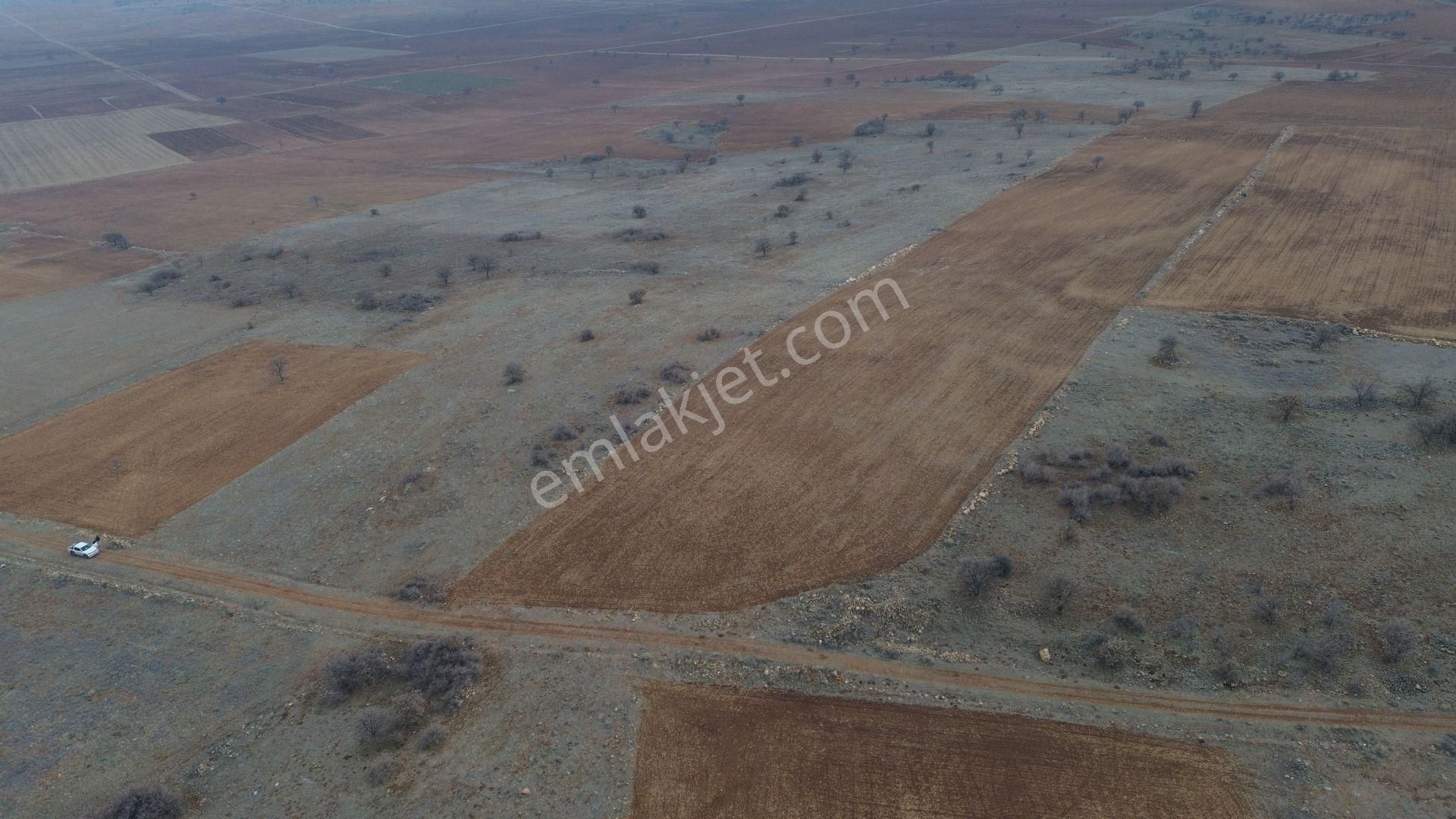 Akören Karahüyük Satılık Tarla Konya / Akören / Karahüyük Mahallesinde 19.764 M² Müstakil Tapulu Tarla