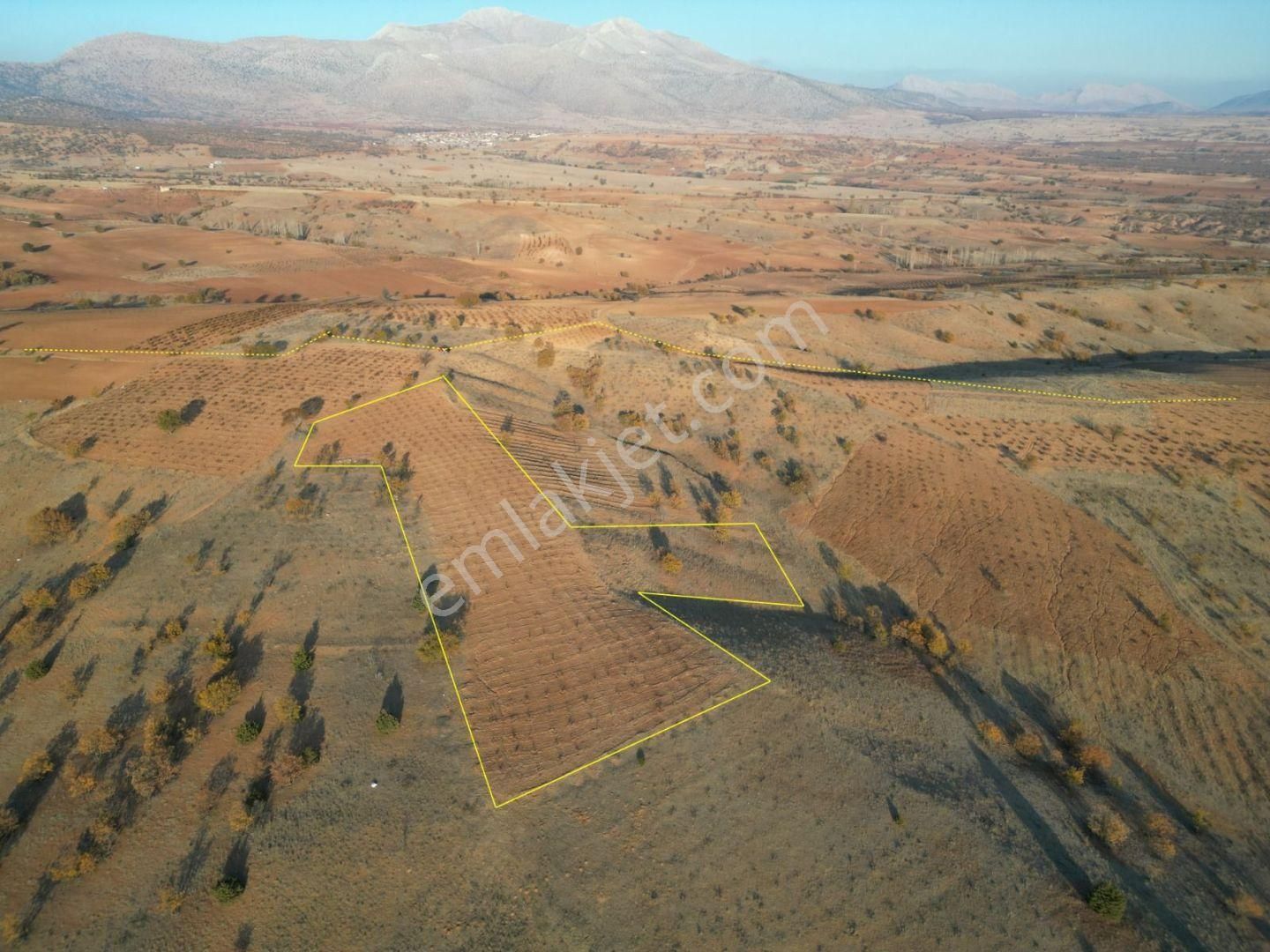 Karaman Merkez Muratdede Köyü Satılık Tarla Karaman / Merkez / Muratdede Mahallesinde 7.100 M² Müstakil Tapulu 500 Adet Üzüm Bağlı Arazi