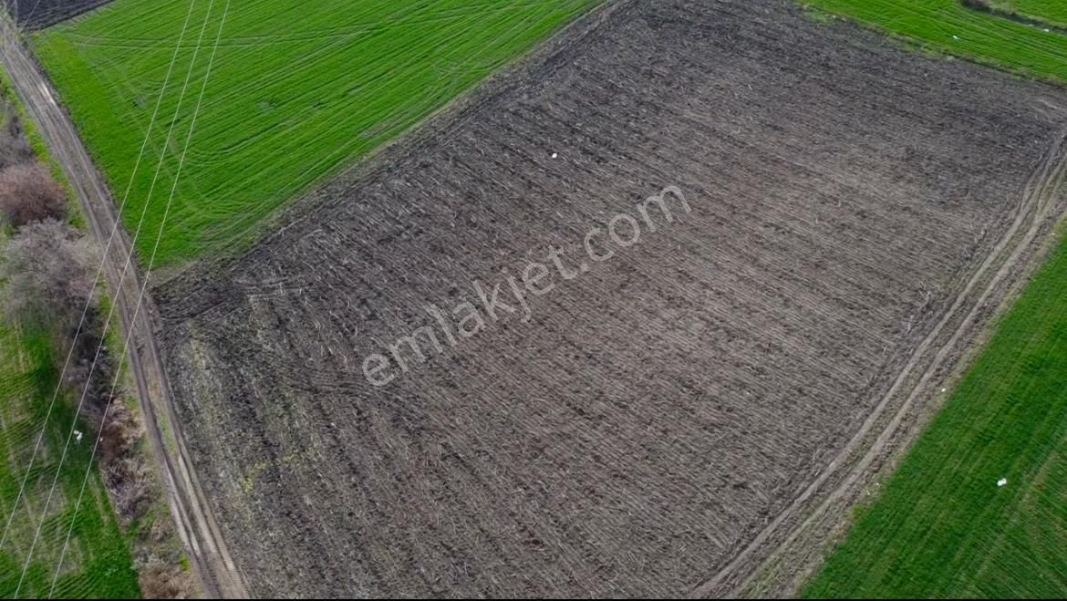 Susurluk Göbel Satılık Tarla Bt Prestıge'den Fırsat Yola Yakın Tarla