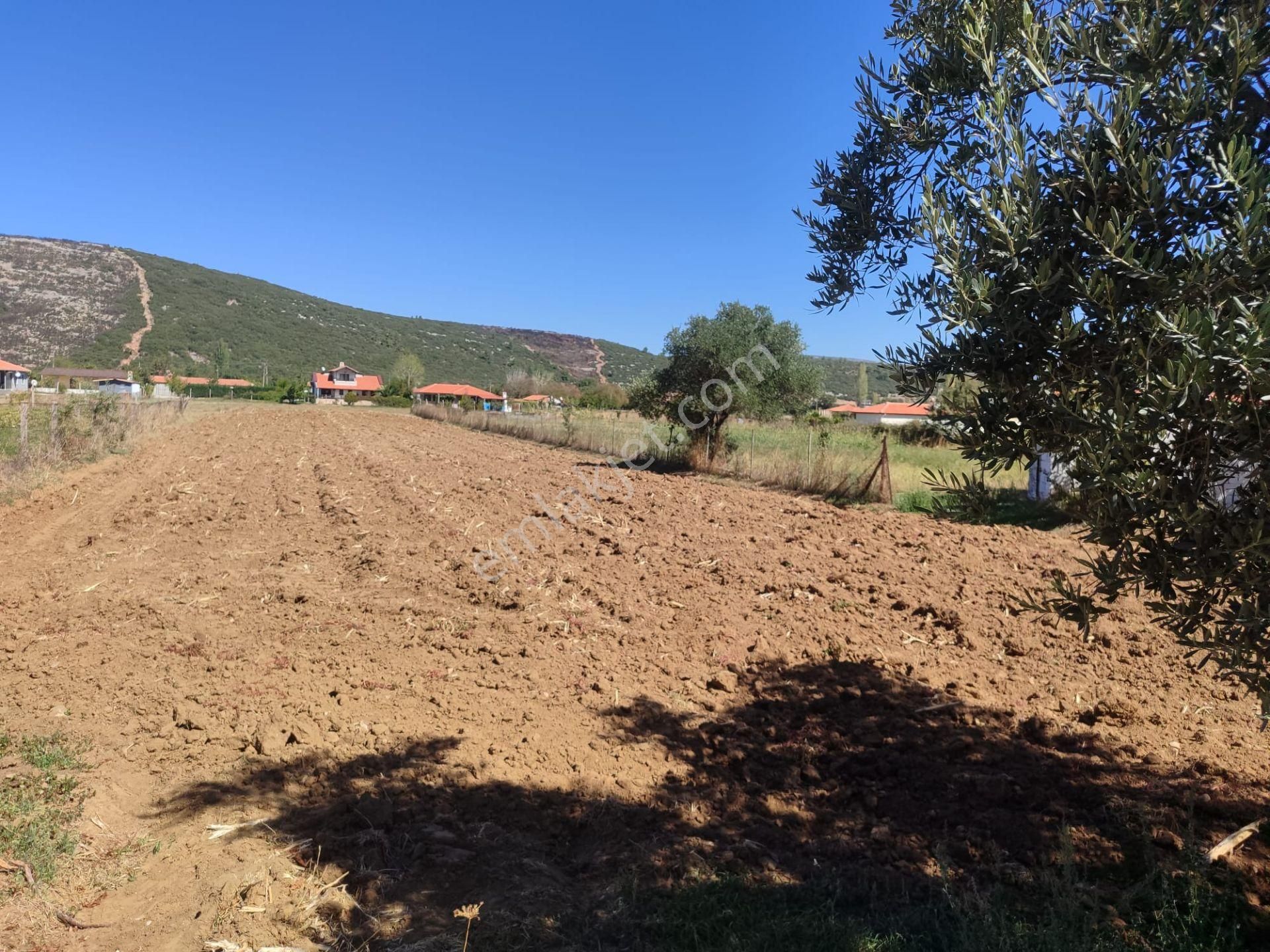 Menteşe Yerkesik Satılık Konut İmarlı Muğla Menteşe Yerkesik Te Yatırımlık %5 İmarlı İki Ayrı Tapu