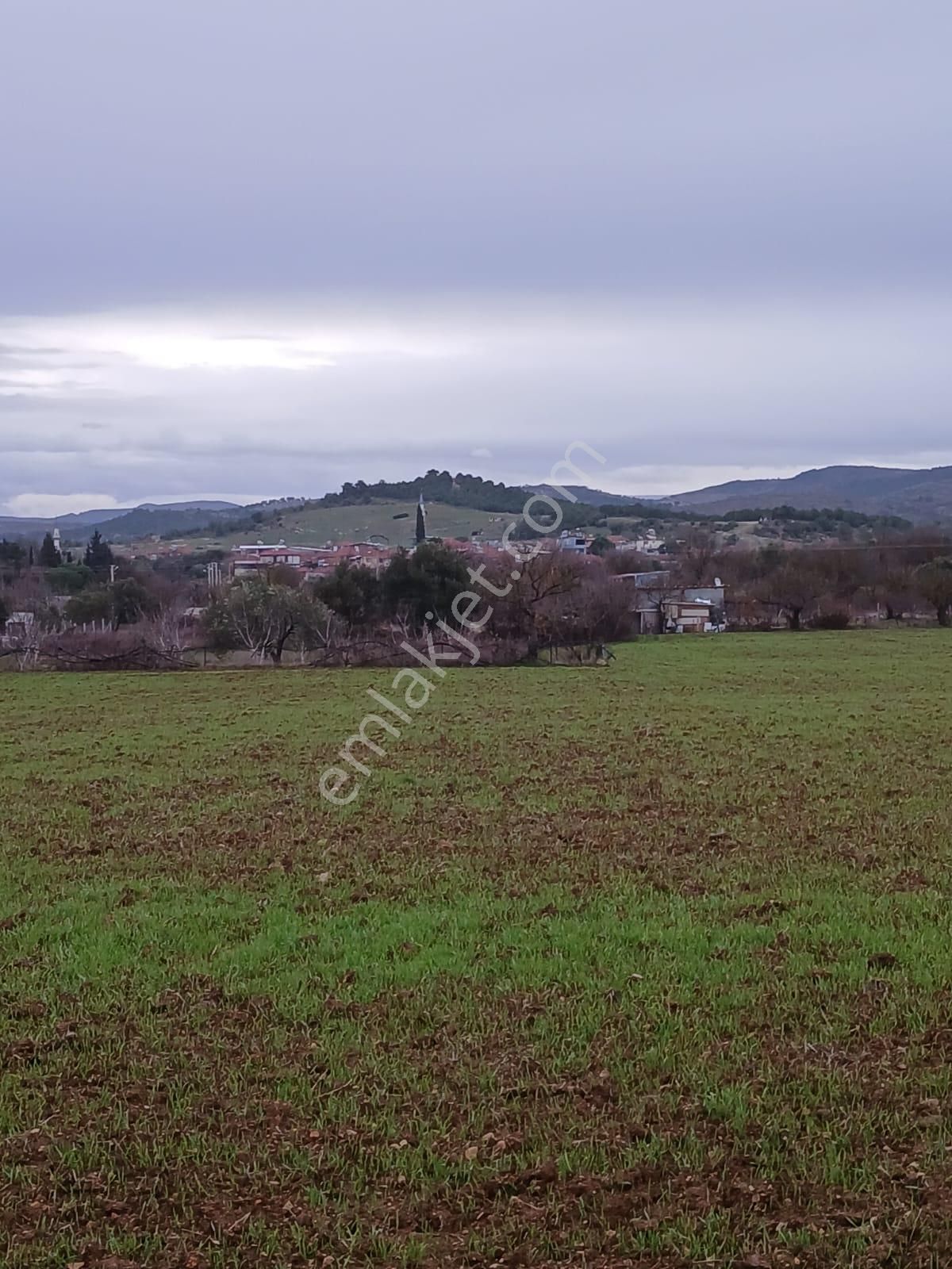 Yunusemre Osmancalı Satılık Tarla Zeki Emlak’tan Osmancalı'da 500m² Tek Tapulu Acil Satılık Tarla