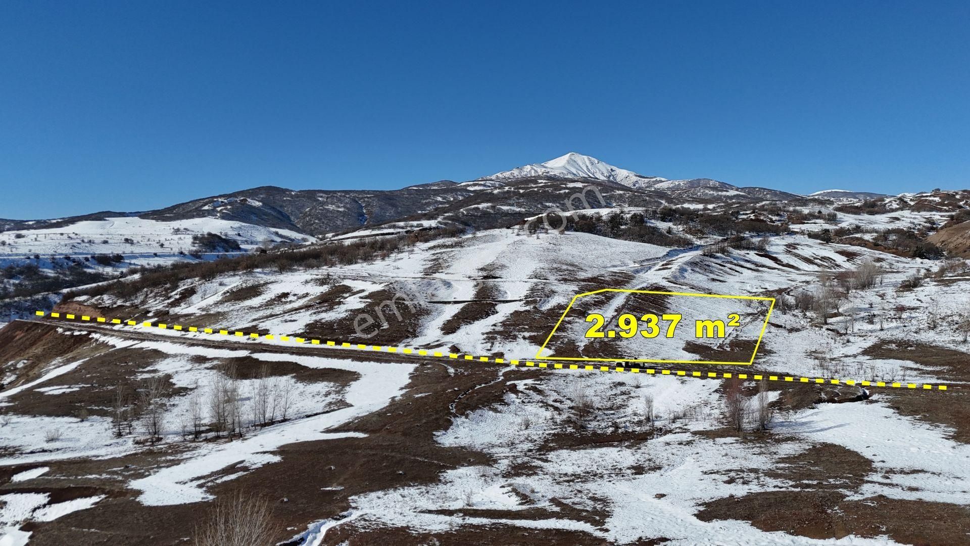 Kiğı Duranlar Köyü Satılık Tarla Bingöl / Kığı / Duranlar Mahallesinde 2.937 M² Müstakil Tapulu Tarla