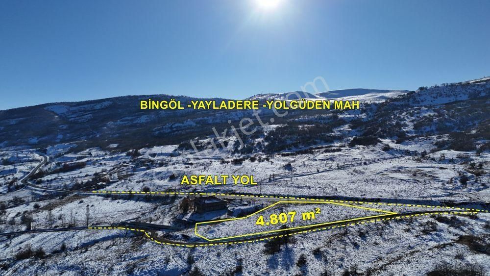 Yayladere Yolgüden Satılık Tarla Bingöl / Yayladere / Yolgüden Mahallesinde 4.807 M² Müstakil Tapulu Tarla