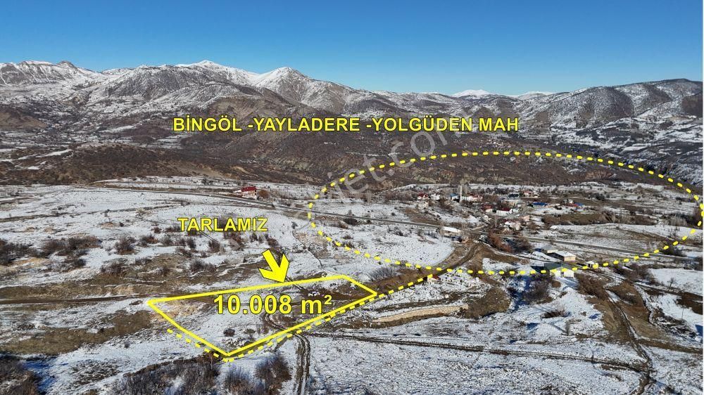 Yayladere Yolgüden Satılık Tarla Bingöl / Yayladere / Yolgüden Mahallesinde 10.008 M² Müstakil Tapulu Tarla