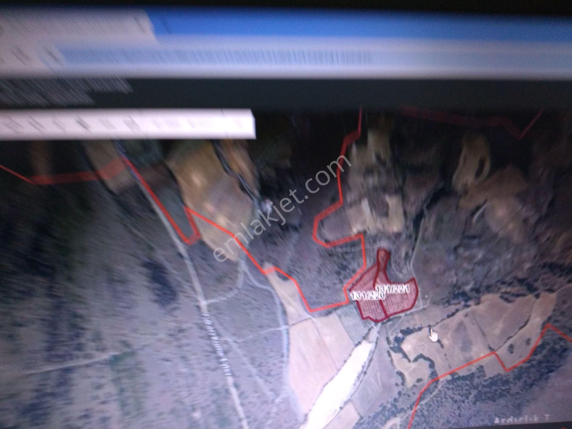 Satılık Ceviz Tarlası Anas Emlak Tan - Görsel 2