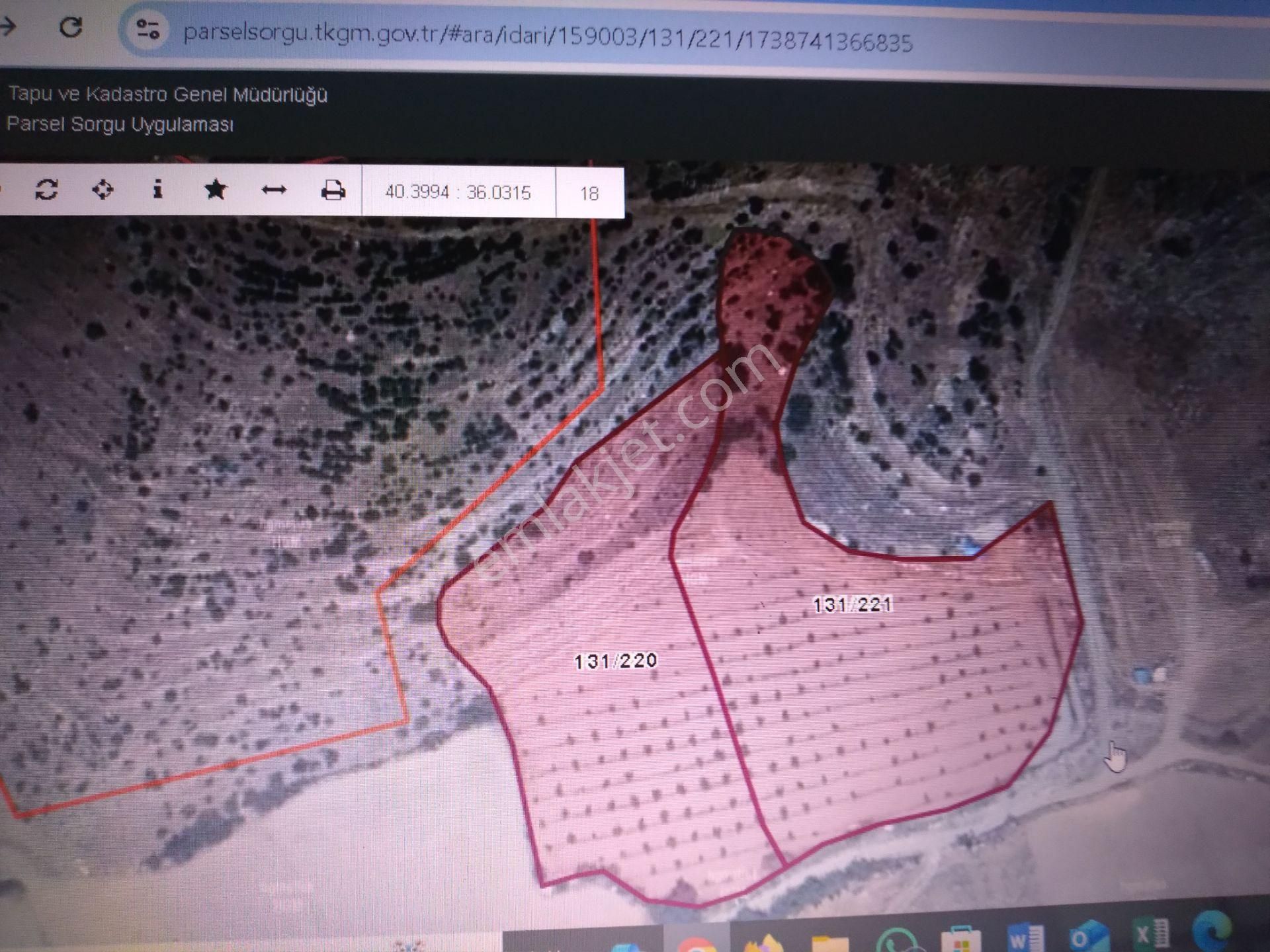 Satılık Ceviz Tarlası Anas Emlak Tan - Görsel 6