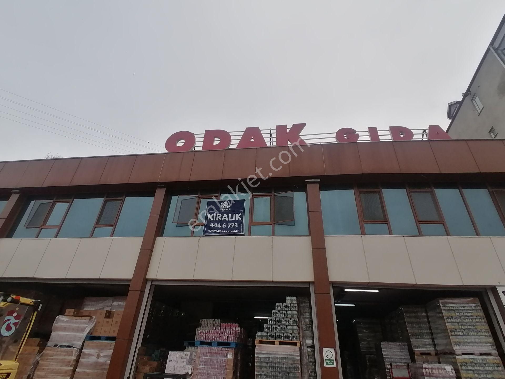 Ortahisar 2 Nolu Bostancı Kiralık Ofis Trabzon Değirmendere'de Yeni Otogarın Yanında Kiralık Ofis