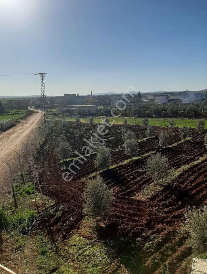 Gaziantep/şahinbey Bozcada Ön Cephe Asfalta Arka Cephe İse Kadastro Yoluna Sıfır Satılık Bağ Evi - Görsel 6