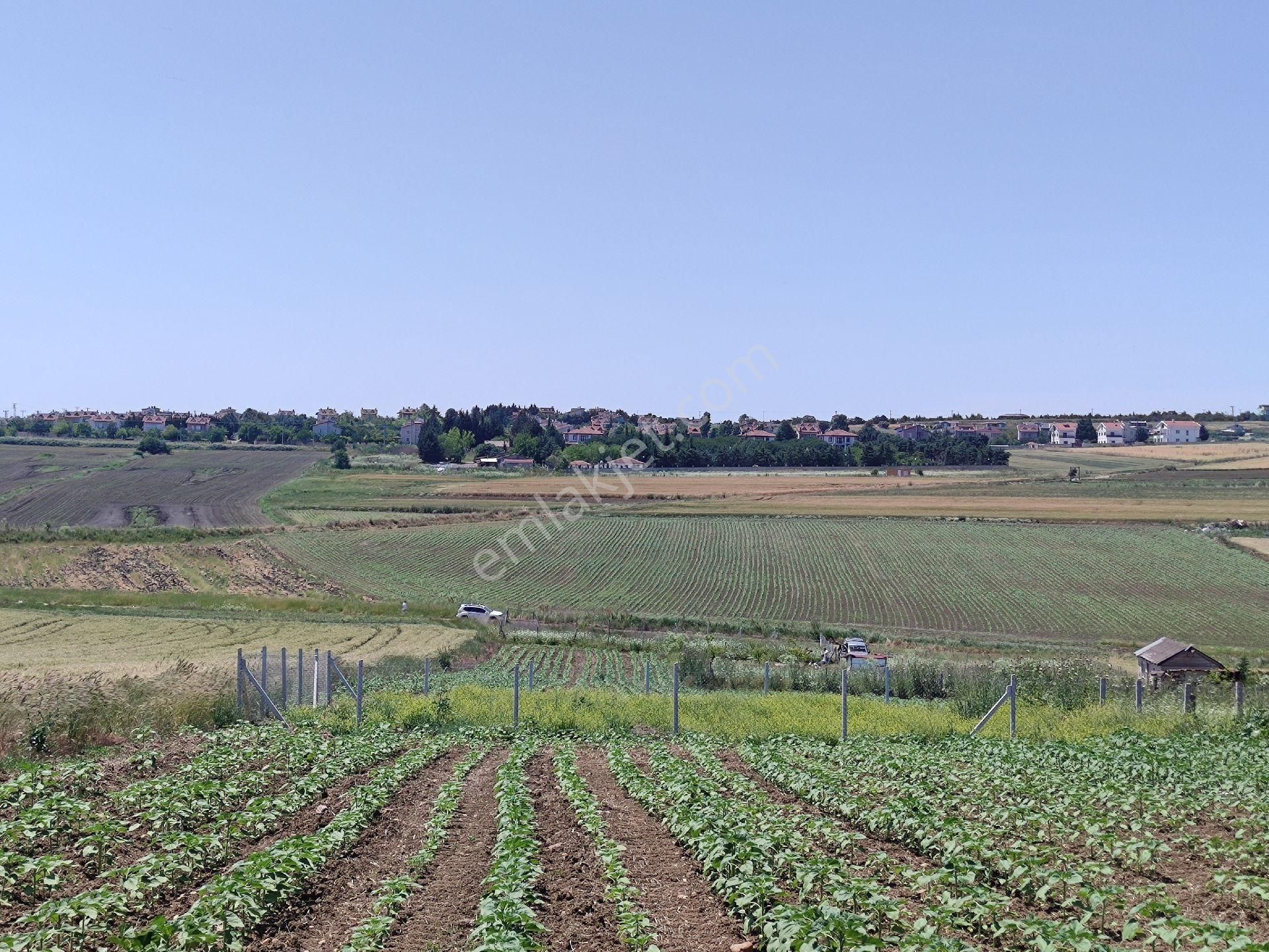 Silivri Değirmenköy İsmetpaşa Satılık Konut İmarlı Silivri Değirmenköy De 265 Metre Arsa Sadece 650 Bin Tl