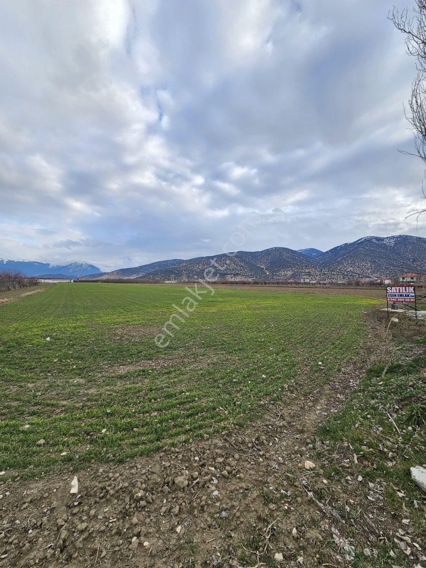 Antalya Elmalı Tekke Mahalle Merkezine Yakın Asfalt Yola Cephe 10.568m2 Satılık Tarla - Görsel 10