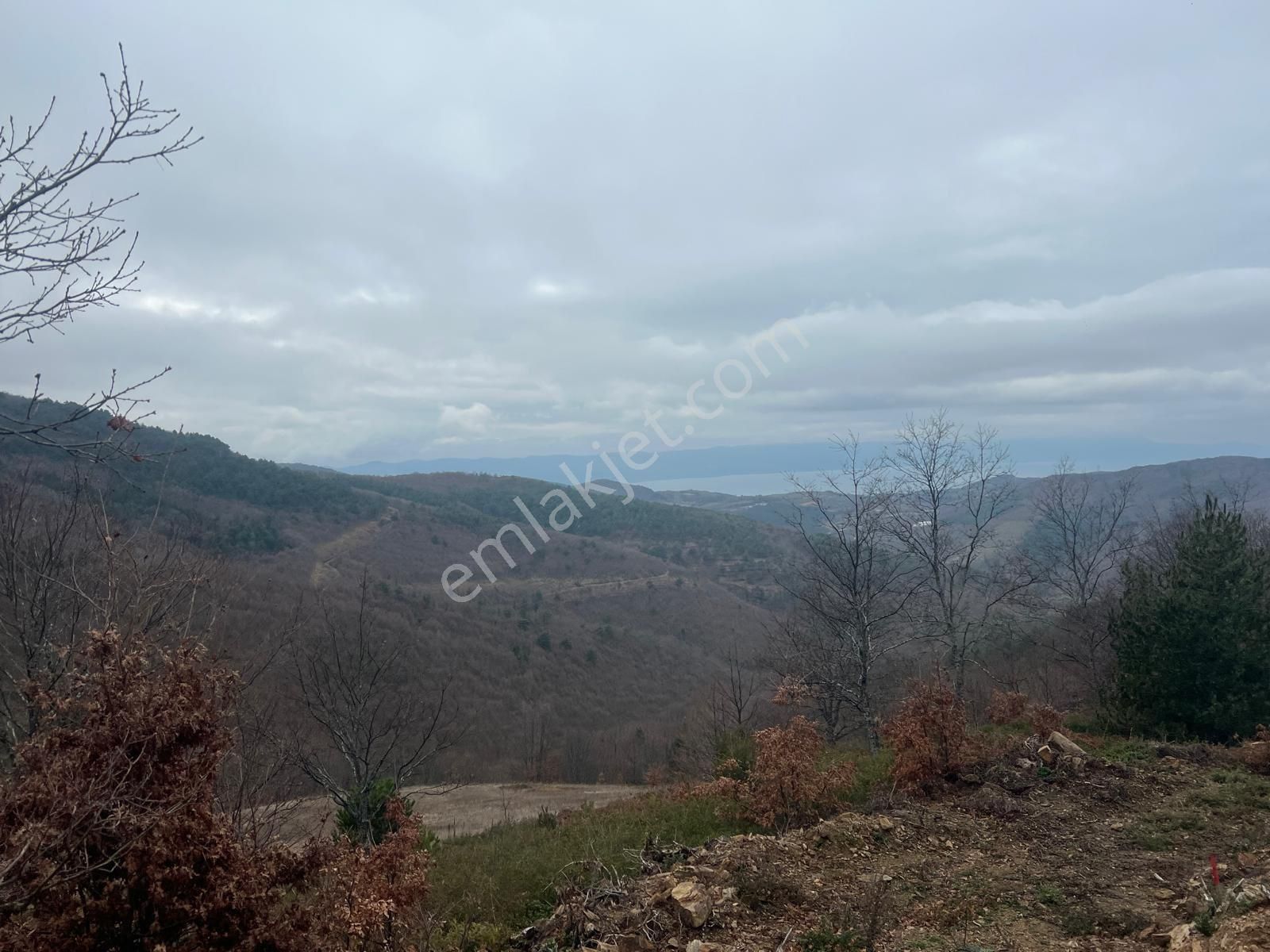 İznik Candarlı Mahallesinde Tarla - Görsel 2