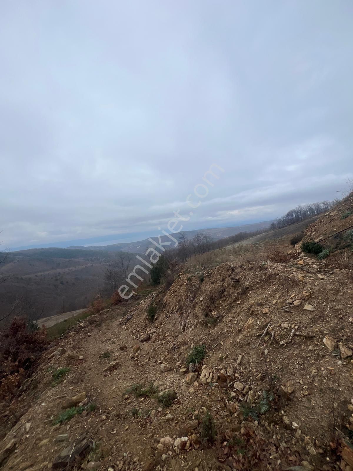 İznik Candarlı Mahallesinde Tarla - Görsel 15