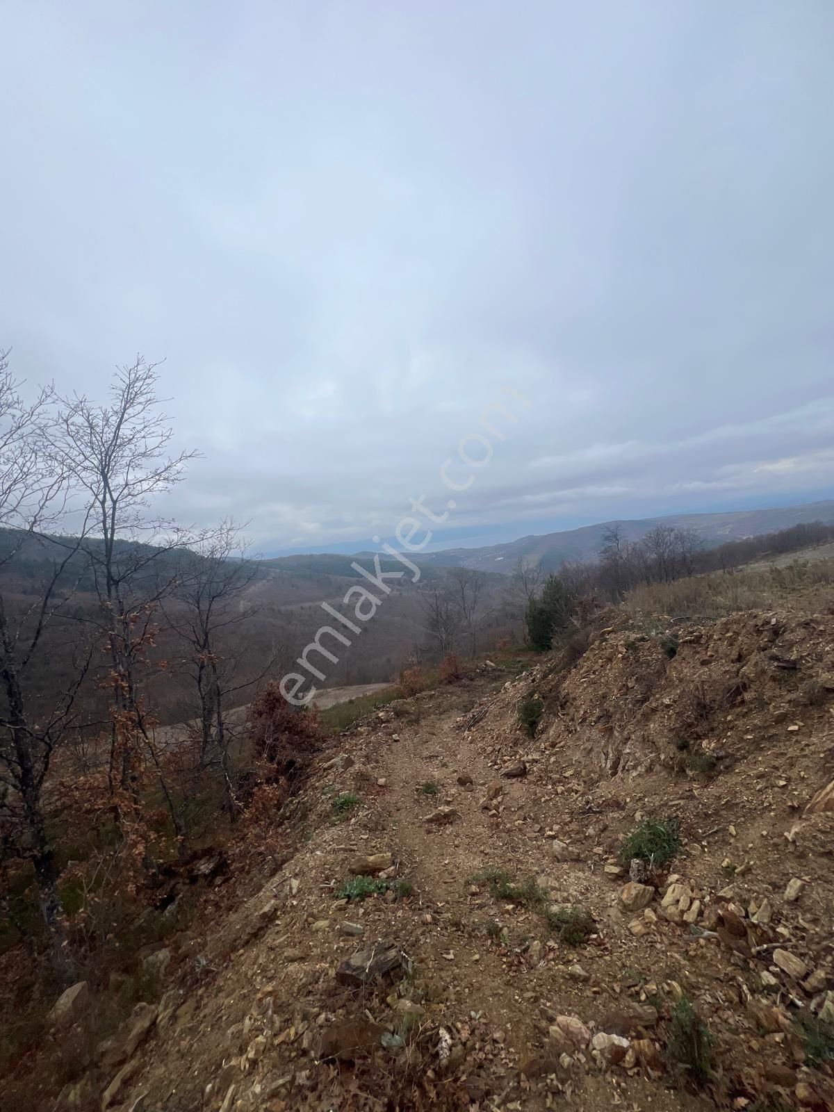 İznik Candarlı Mahallesinde Tarla - Görsel 16