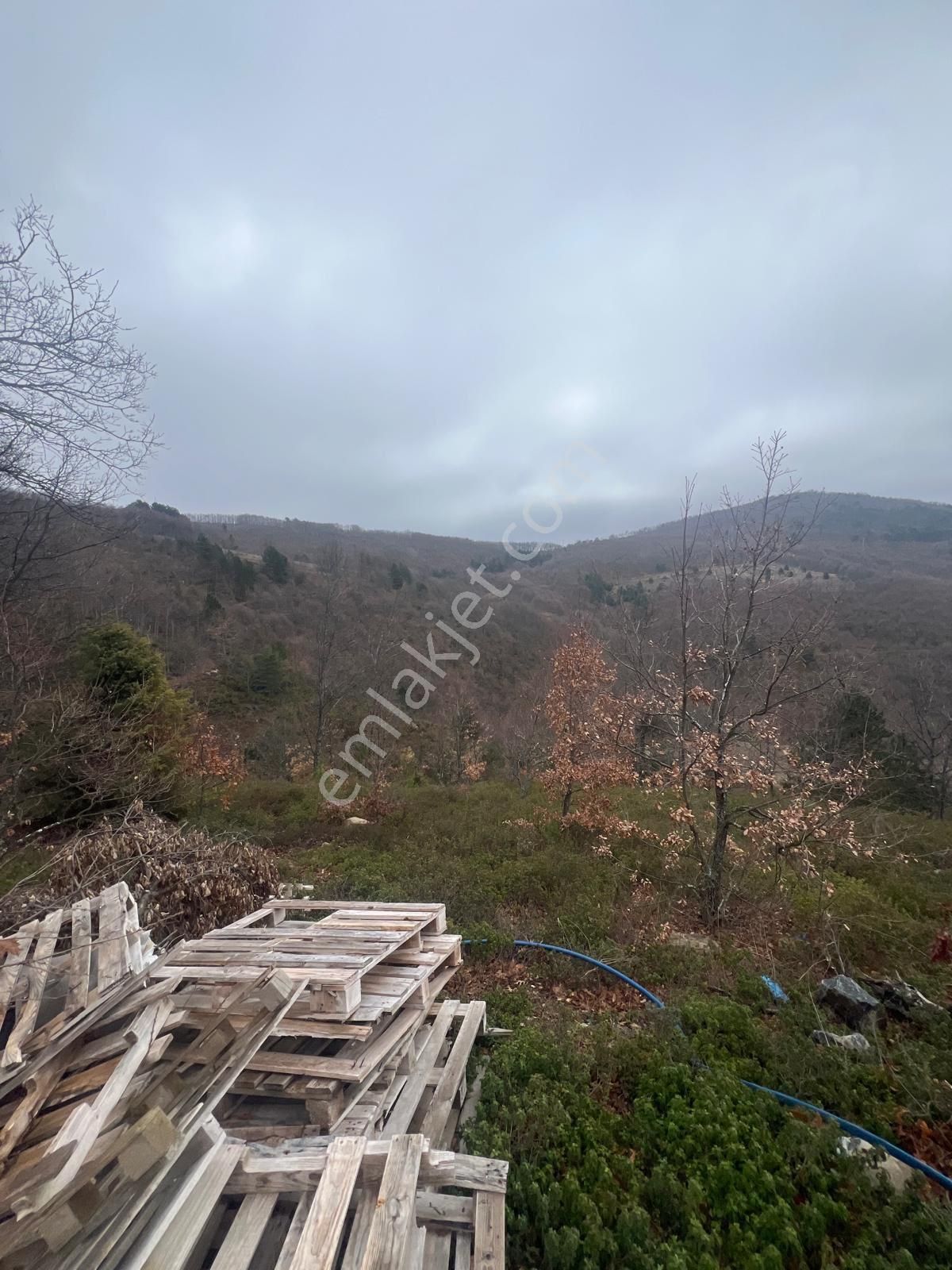 İznik Candarlı Mahallesinde Tarla - Görsel 14