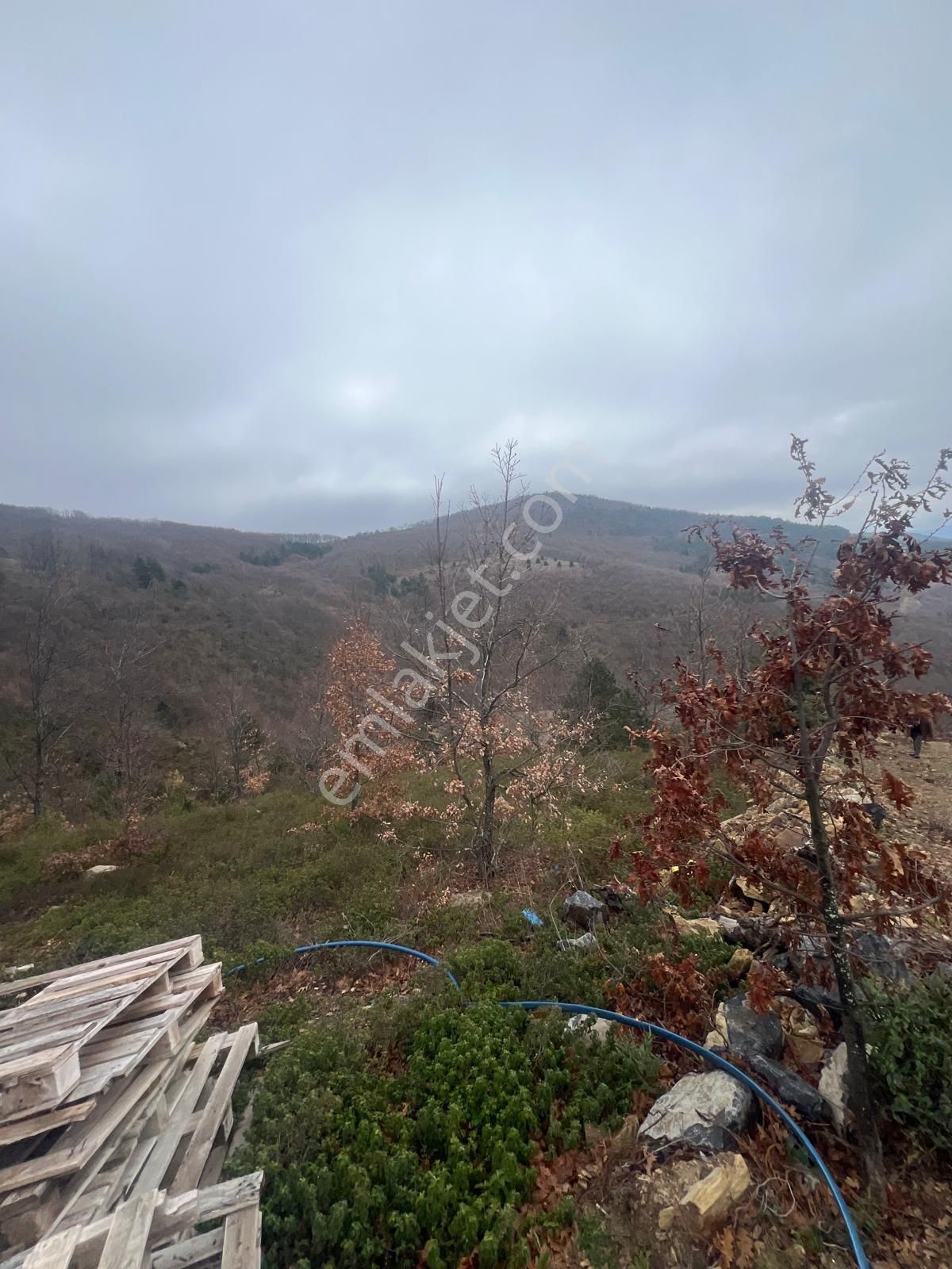 İznik Candarlı Mahallesinde Tarla - Görsel 13