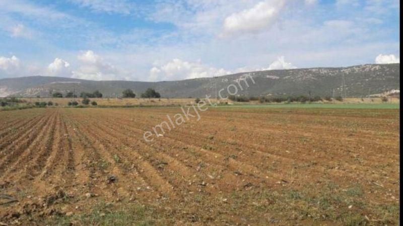 Akören Ağalar Satılık Tarla Emlakyap'tan Akören Ağalarda Bozkır Yoluna Cephe Müstakil Tarla