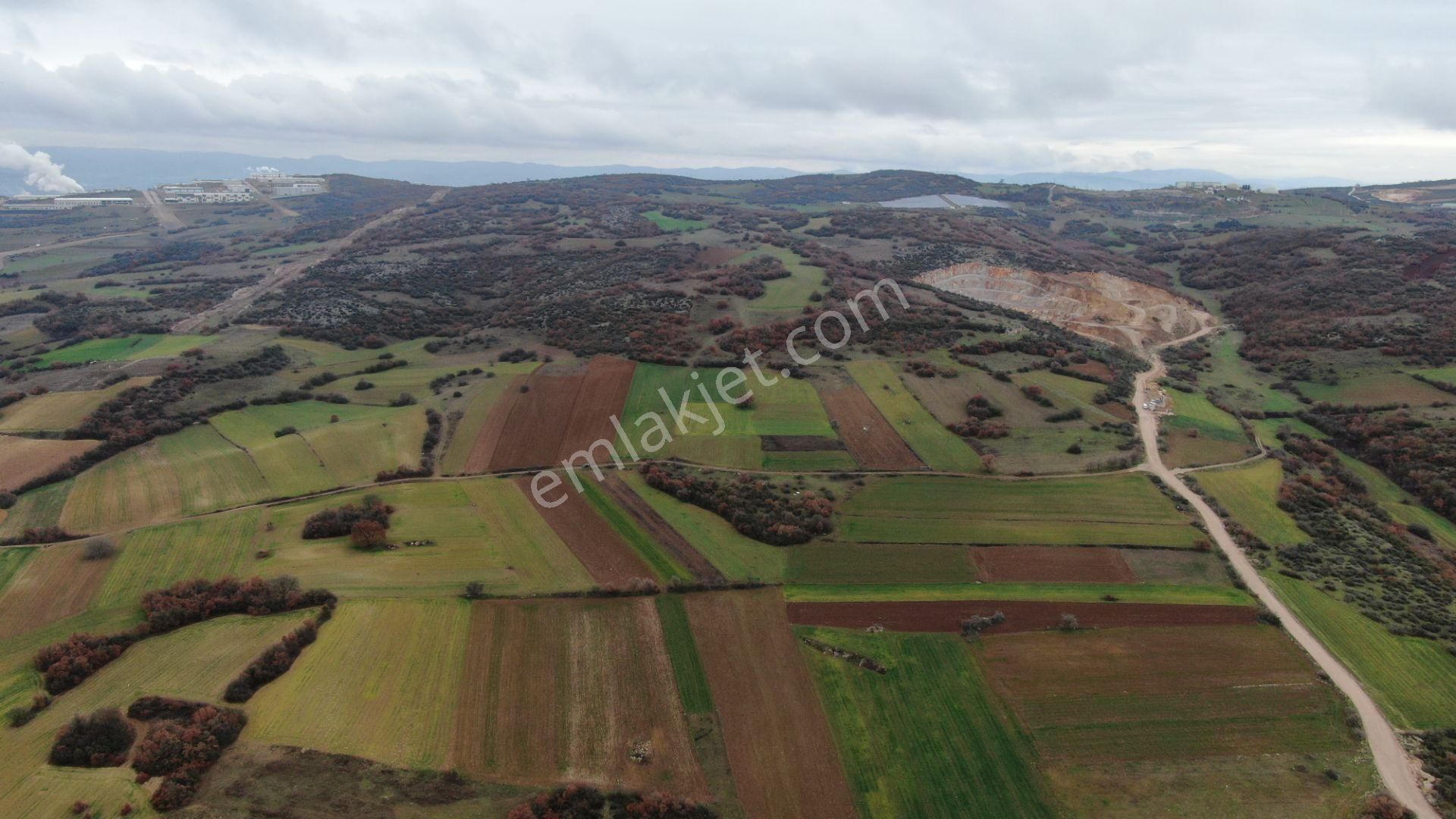 İnegöl Kozluca Satılık Tarla Son İmara 800m Mesafede 2400m2 Resmi Yola Cepheli Arazi