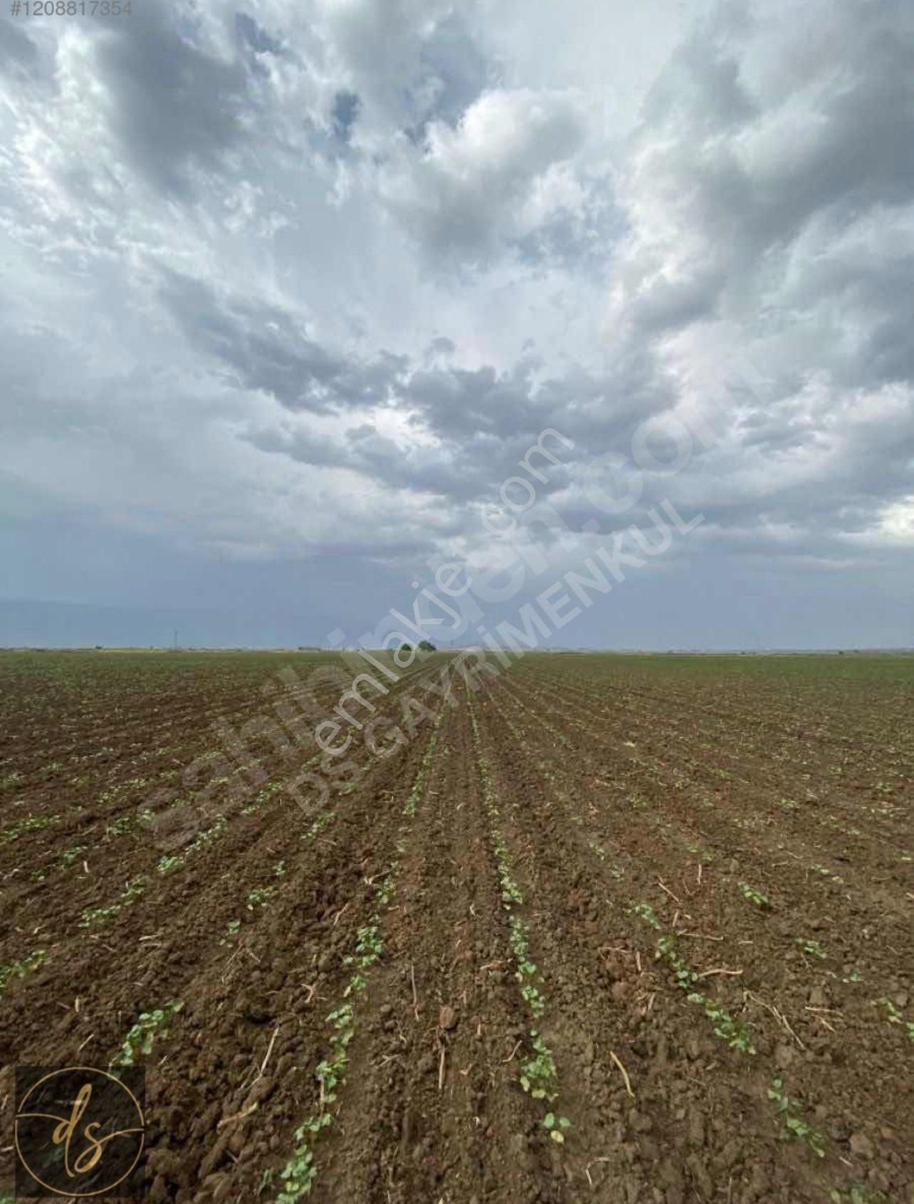 Polatlı Yüzükbaşı Satılık Tarla Yüzükbaşında Kök Tapu 32000 M2 Tek Tapu Tarla