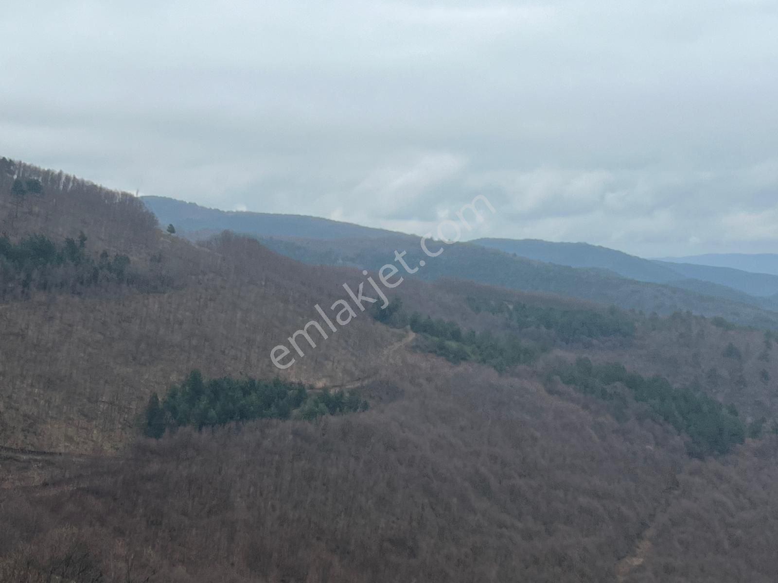 İznik Candarlı Mahallesinde 5.500 M2 Tarla - Görsel 16
