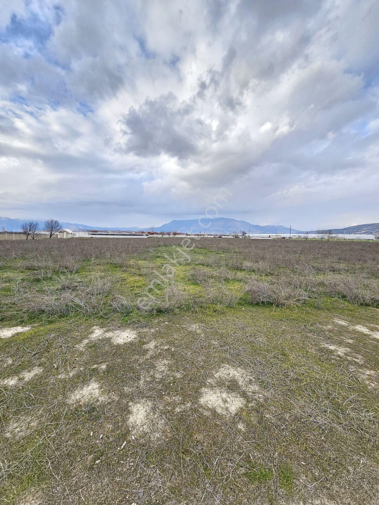 Elmalı Yakaçiftlik Mahalle Merkezine Yakın Lokasyonda Etrafı Telle Çevrili 27.106m2 Satılık Tarla - Görsel 8