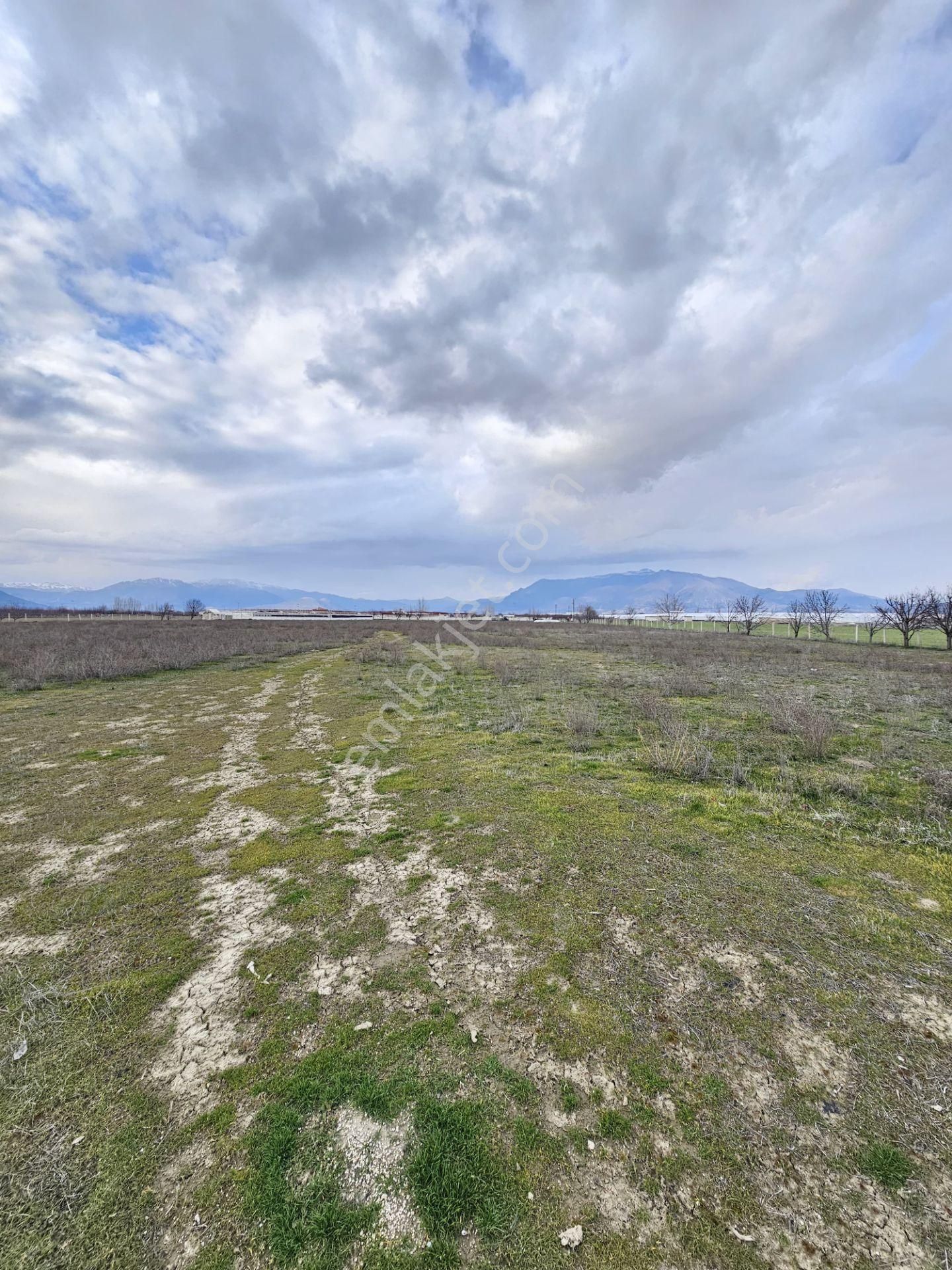 Elmalı Yakaçiftlik Mahalle Merkezine Yakın Lokasyonda Etrafı Telle Çevrili 27.106m2 Satılık Tarla - Görsel 17