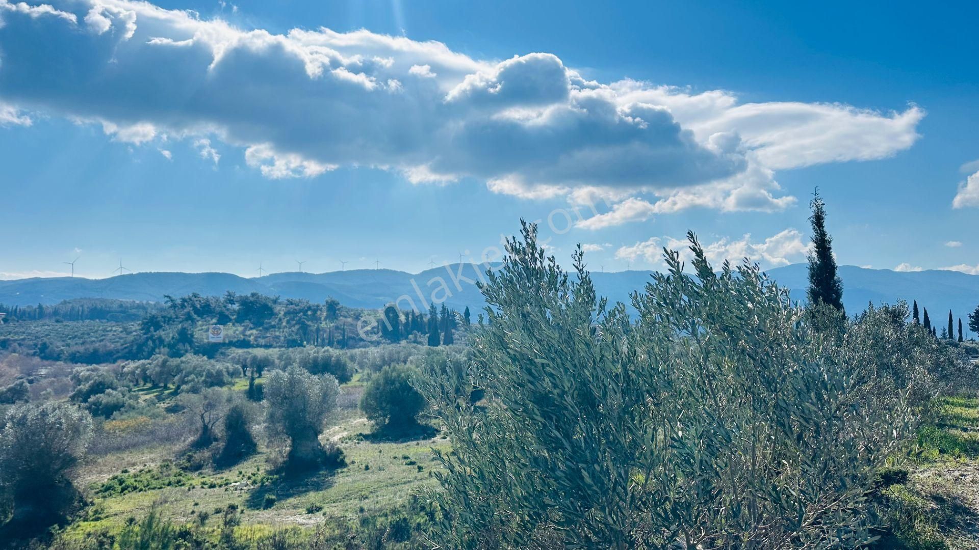 Kuşadası Yaylaköy Satılık Tarla Kuşadası Yaylaköy De Deniz Manzaralı Tarla Vasfında Arsa