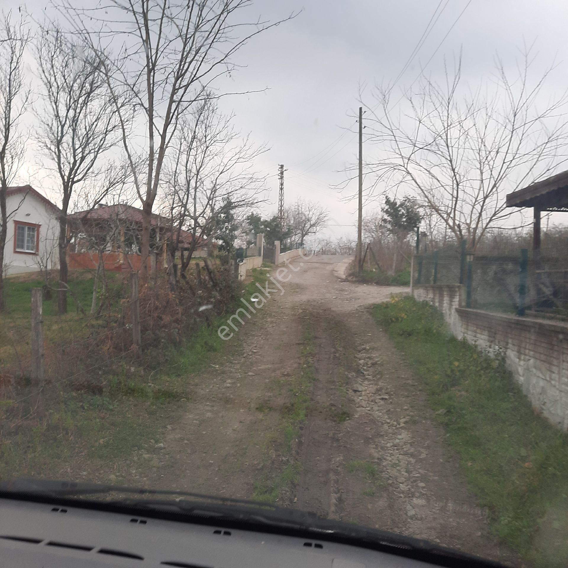 Altınordu Çavuşlar Satılık Bağ & Bahçe Merkeze 9 Km Mesafede Çavuşlar Mahallesinde 7100 M2 Olan Bahçemiz Satılıktır